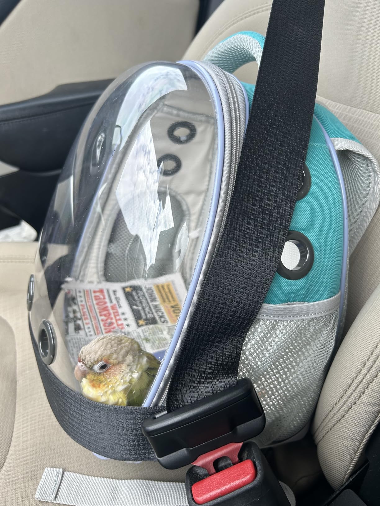 Portable Travel pet Backpack Carrier Hamster Bag Guinea Pig Bird Small Dog cat Turtle Carrier Rabbit Cage Squirrel Bearded Dragon Breathable Hangbag (Green) customer photo 1