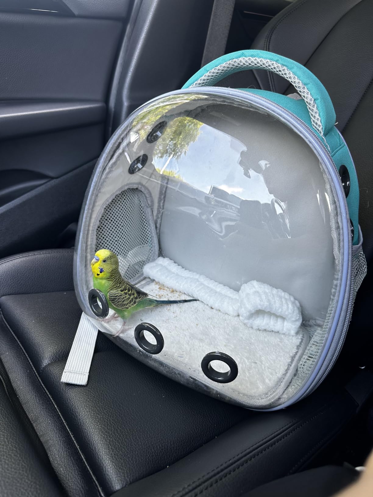 Portable Travel pet Backpack Carrier Hamster Bag Guinea Pig Bird Small Dog cat Turtle Carrier Rabbit Cage Squirrel Bearded Dragon Breathable Hangbag (Green) customer photo 2