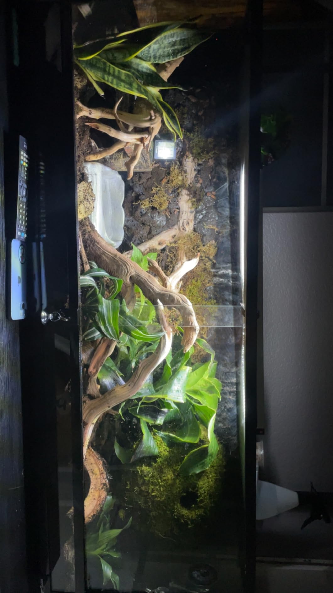 Resin Reptile Hideouts Cave Habitat Decor, Extra Large | For Gecko, Leopard Lizards, Toad, Turtle customer photo 2