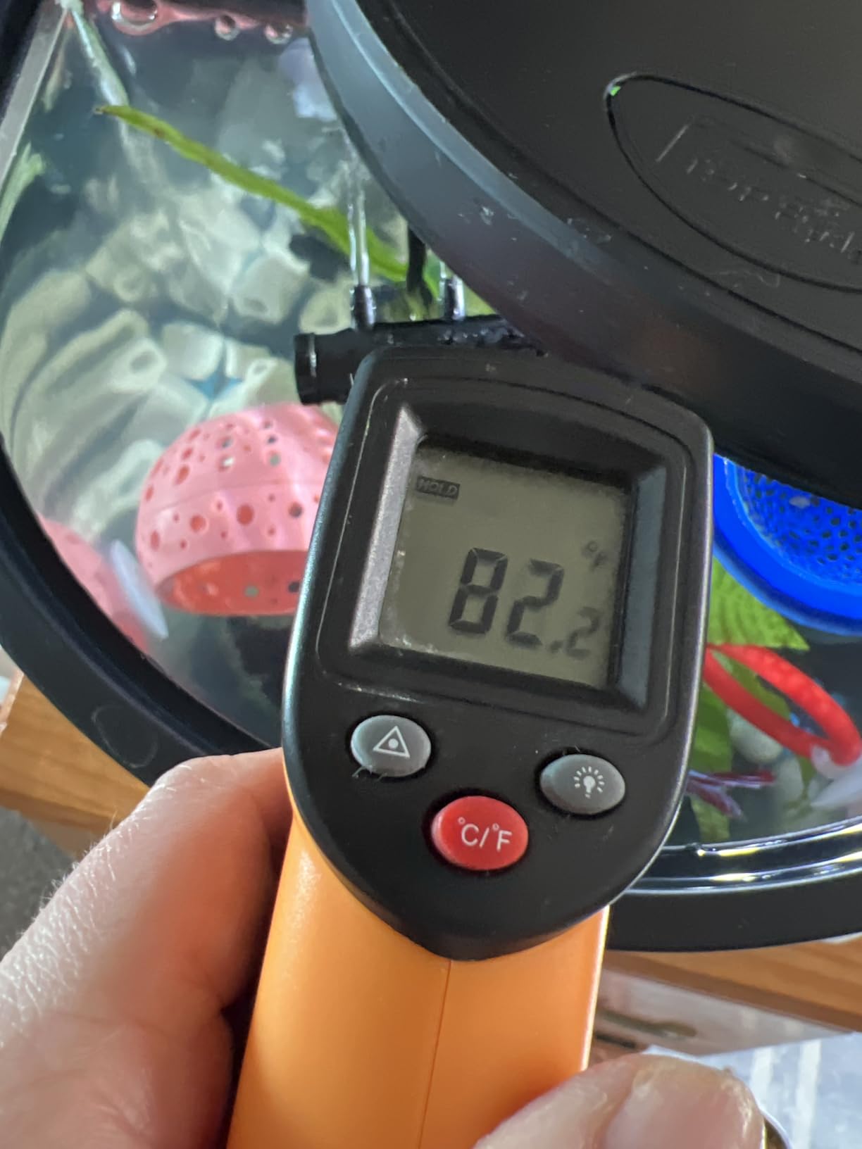 AQUANEAT Aquarium Heater, 25W Small Betta Fish Tank Heater, Mini Preset Water Thermostat with a Thermometer customer photo 1