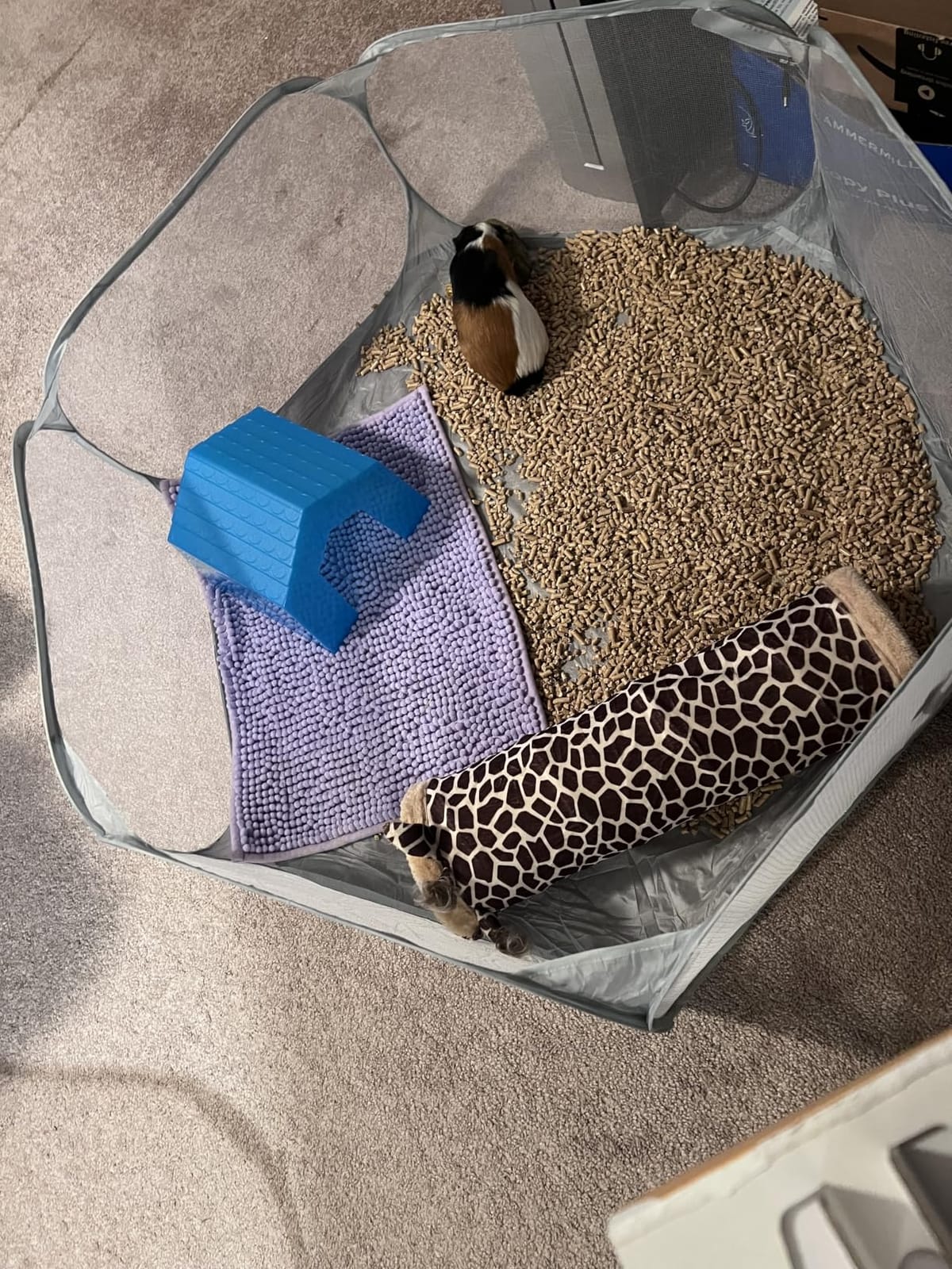 Small Animals Playpen, Portable Pop-up Open Interactive Pet Tent, Indoor Outdoor Fence for Rabbits, Guinea Pig, Hamster, Chinchillas, Kittens, Puppies customer photo 1