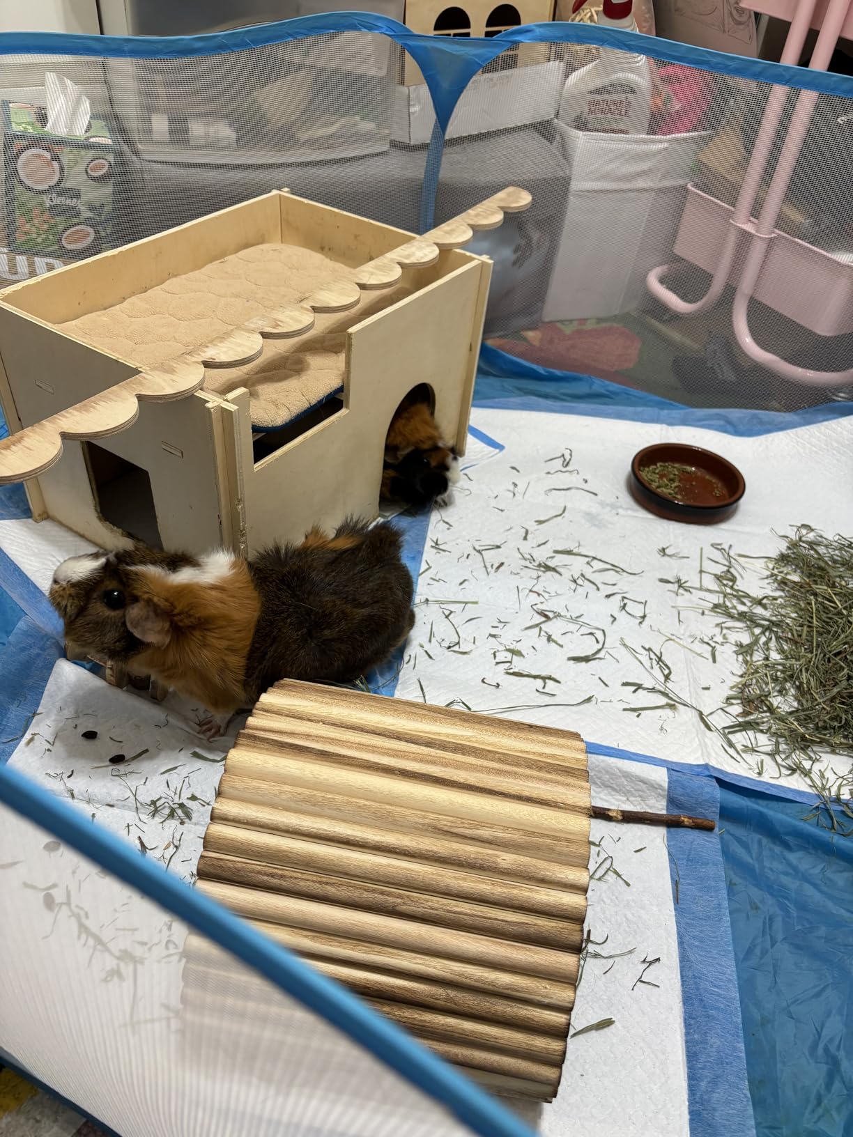 Small Animals Playpen, Portable Pop-up Open Interactive Pet Tent, Indoor Outdoor Fence for Rabbits, Guinea Pig, Hamster, Chinchillas, Kittens, Puppies customer photo 2