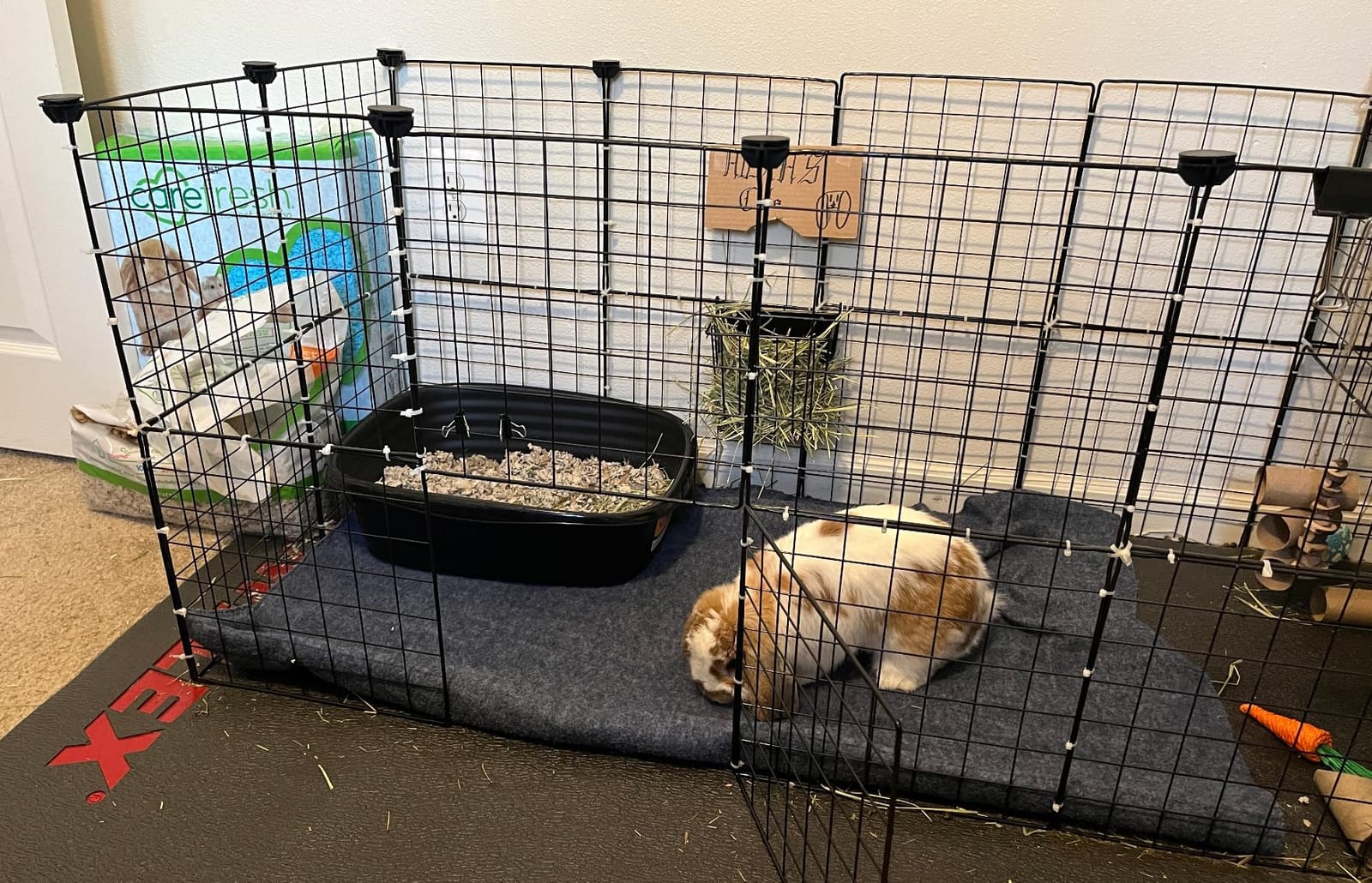 LUAVIARU Upgrades Rabbit Hay Feeder - Guinea Pig Hay Feeder - Metal Frame Hay Rack with Adjustable Hook - Less Wasted - for Guinea Pigs - Chinchilla Bunny Cage Accessories - Bunny Feeder customer photo 1