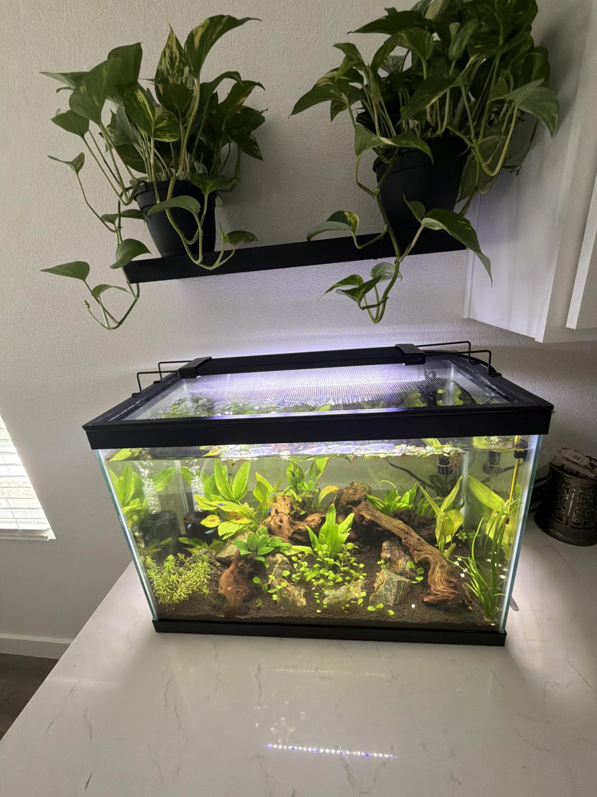 Magnetic Aquarium Anti-Jumping Net Cover Mesh to Protect Fish Jumping Out of Fish Tank customer photo 1