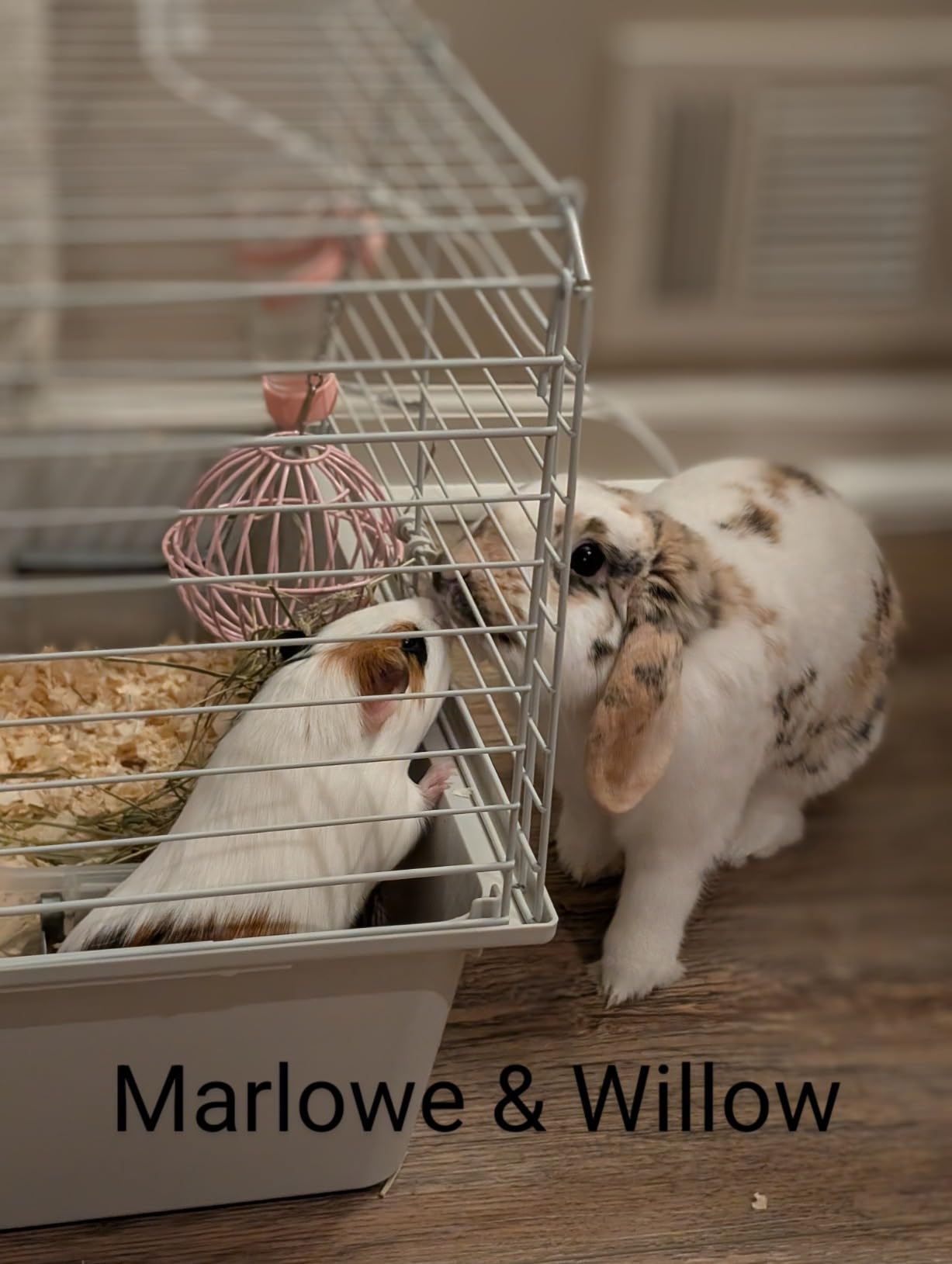 kathson 78.7x39.4in Extra Large Rabbit Cage Liner, Washable Bunny Floor Mat Reusable Non Slip Pet Playpen Mat for Hamster Chinchilla Cat Dog Guinea Pig customer photo 2