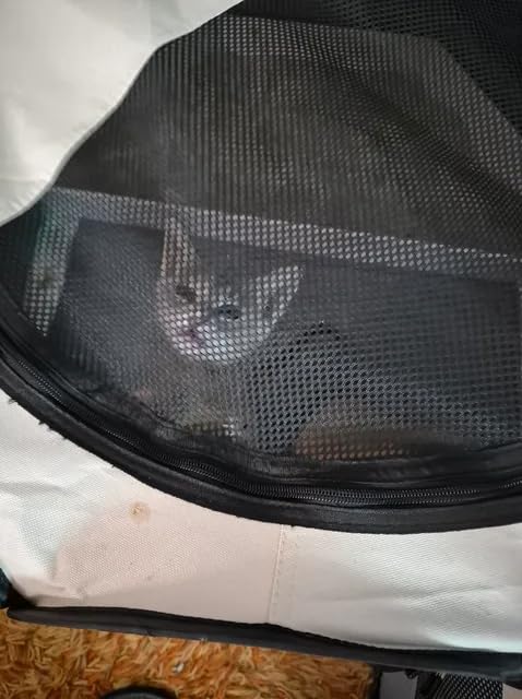 Siedihit Dog Cat Playpen, Puppy Pet Playpen Indoor for Small Dog Crate Tent Cage Outdoor, Portable Pop Up Dogs Enclosure Kennel with Carrying Case for Dogs/Cats/Rabbits(Grey, Small customer photo 1
