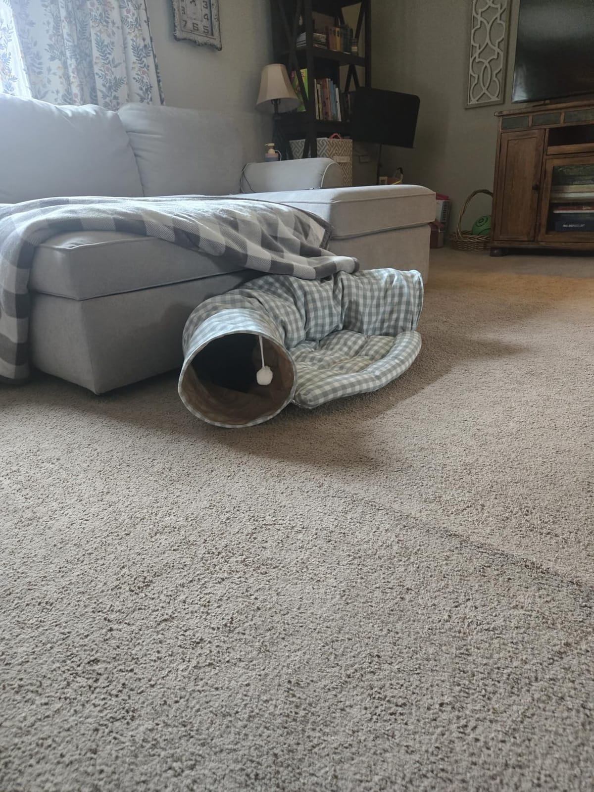 BWOGUE Bunny Tunnel Bed, 2-in-1 Collapsible Rabbit Tunnel Hideout with Mat | Removable Mat for Washing, Ball Toy for Play, Tunnel Tubes for Hiding, Soft Suede Fabric, Cats Rabbits Guinea Pigs customer photo 2