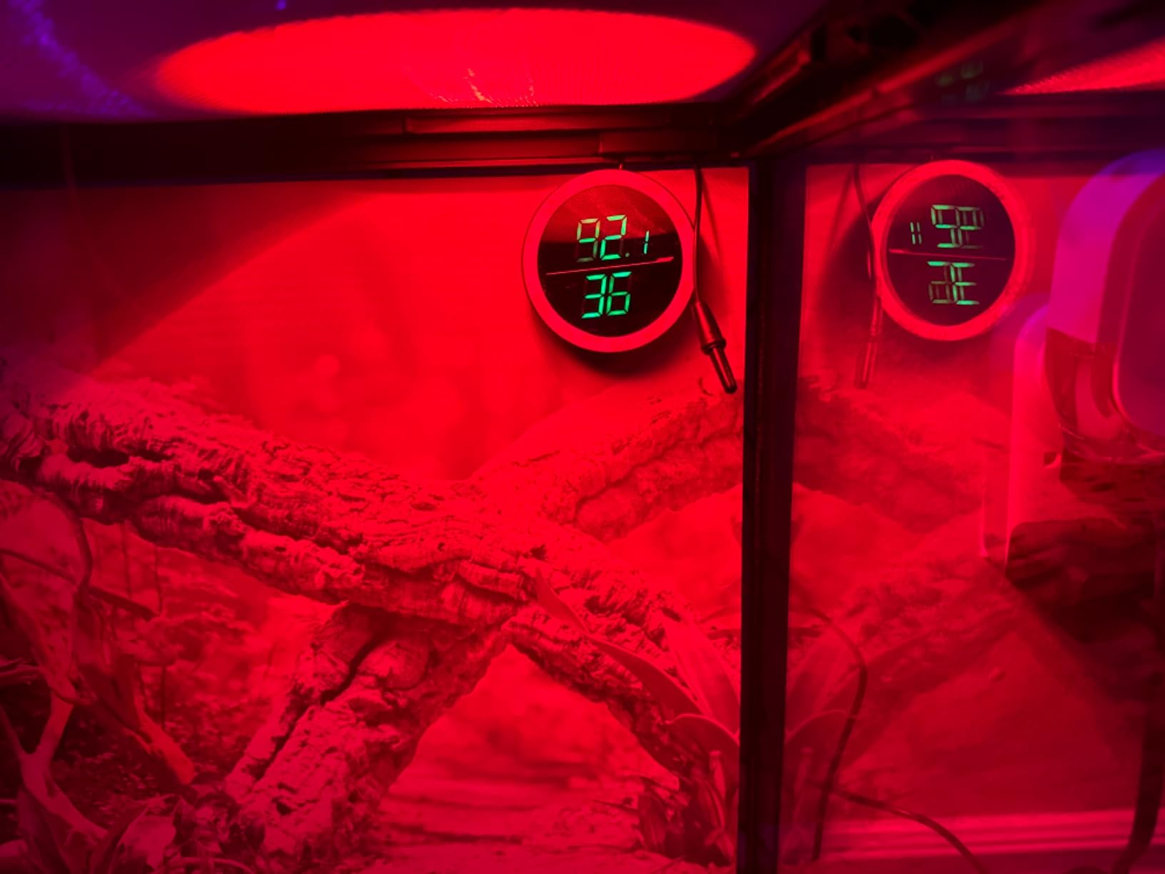PAIZOO Real-time Display LED Digital Reptile Thermometer and Humidity Gauge | Always on Display, Button Control, Temperature Accuracy ±1 ℉ Thermometer for Reptile Tank with 55.2
