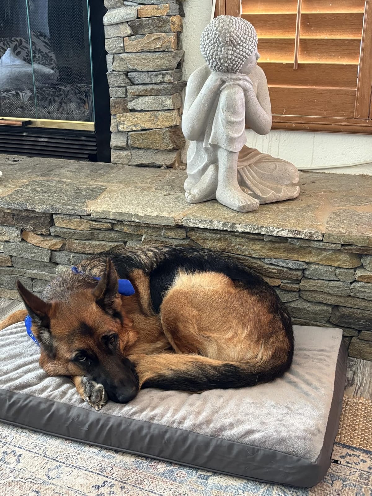 Waterproof Outdoor Dog Bed Large Sized, Washable Crate Pad 35
