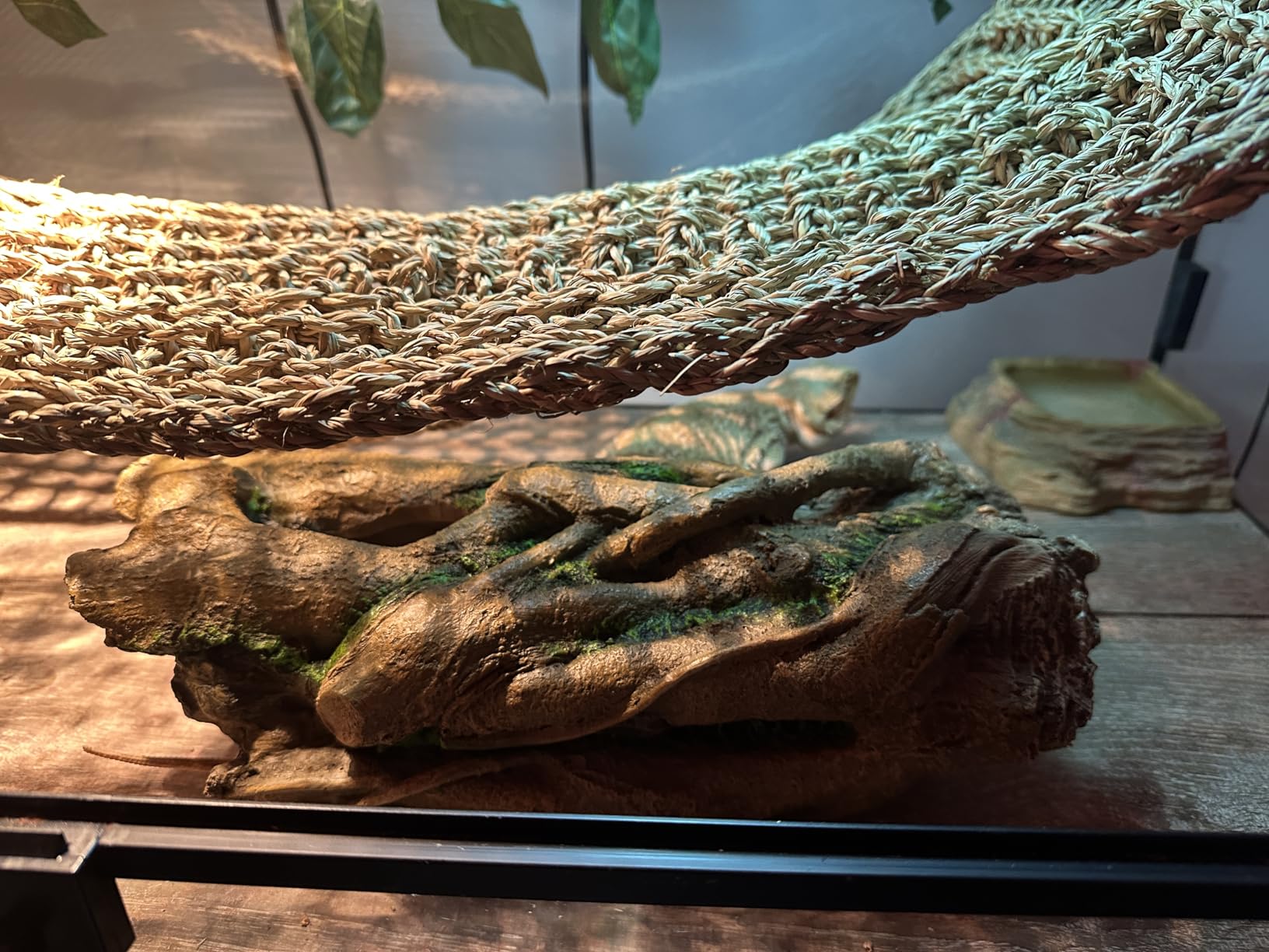 Lizard, Snake or Reptile Hide. Large Hollow Log for Terrarium. Bearded Dragon or Gecko Tank Accessories. Natural Looking Basking Platform (XL-Version 2) customer photo 2