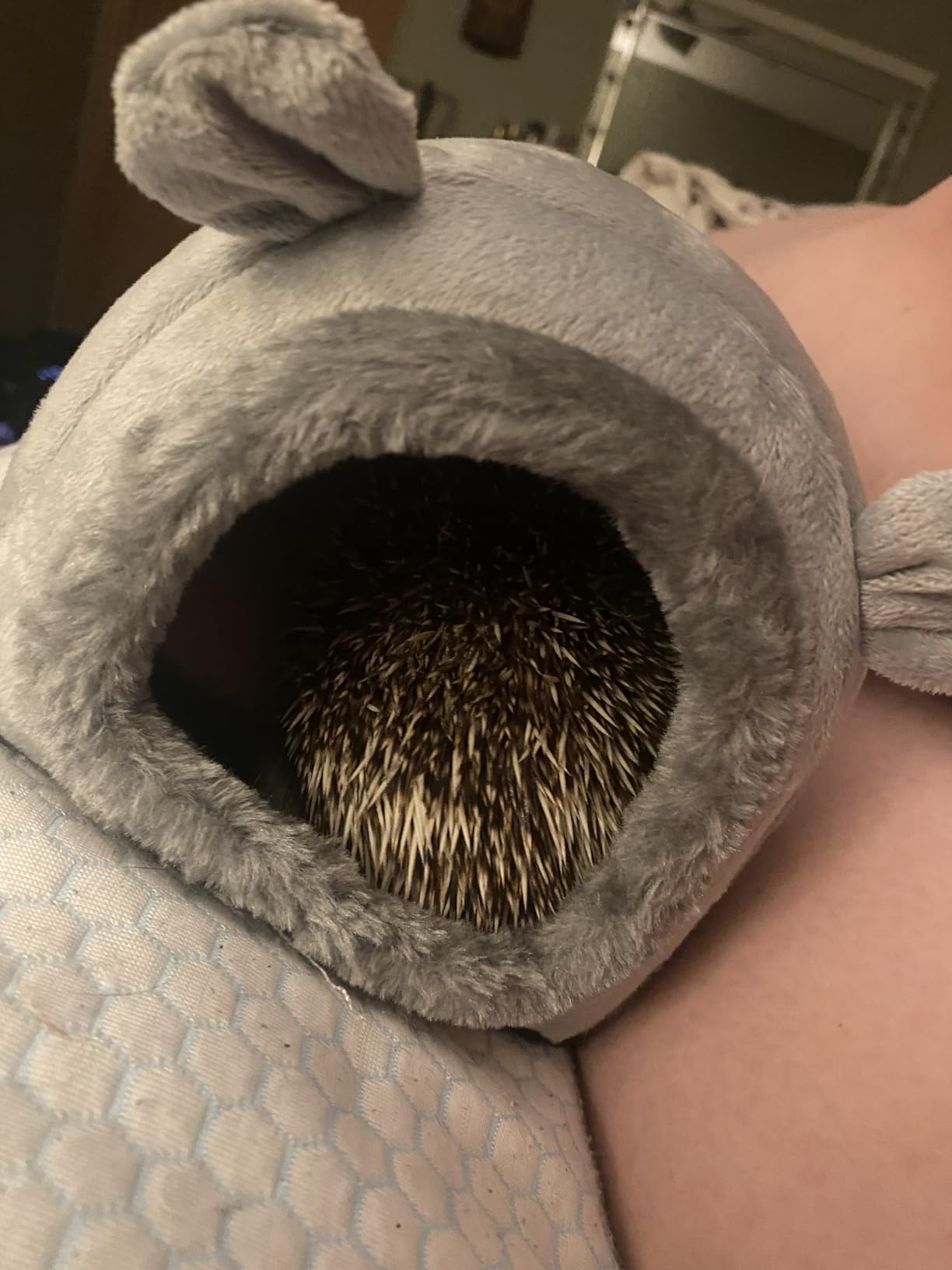 Hedgehog Bed Cave Hideout Hedgehog Accessories Hedgehog House, Hamster Small Animals Cage Supplies Warm House (Blue) customer photo 1