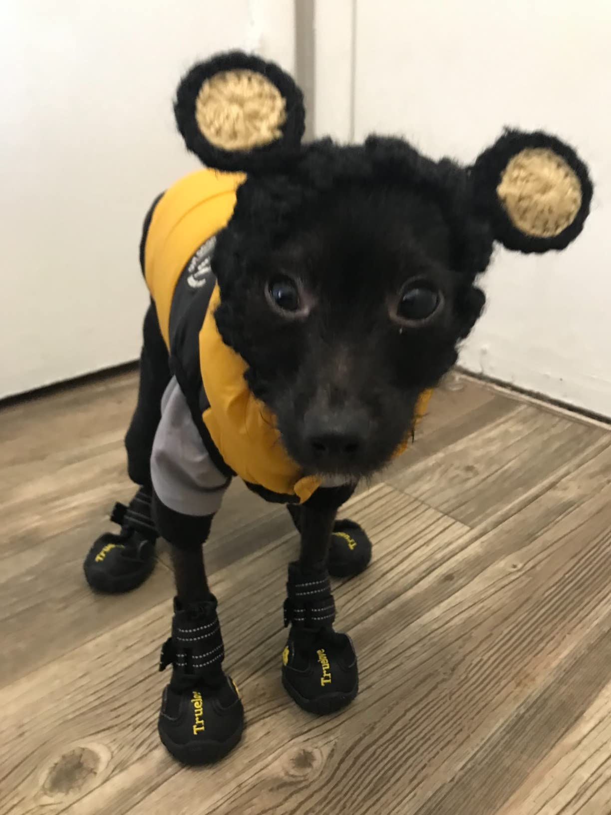 Truelove Dog Boots,Waterproof Pet Shoes with Reflective Straps for Paw Protectors Small Medium Large Dog Summer Winter Snow Outdoor Walking customer photo 2