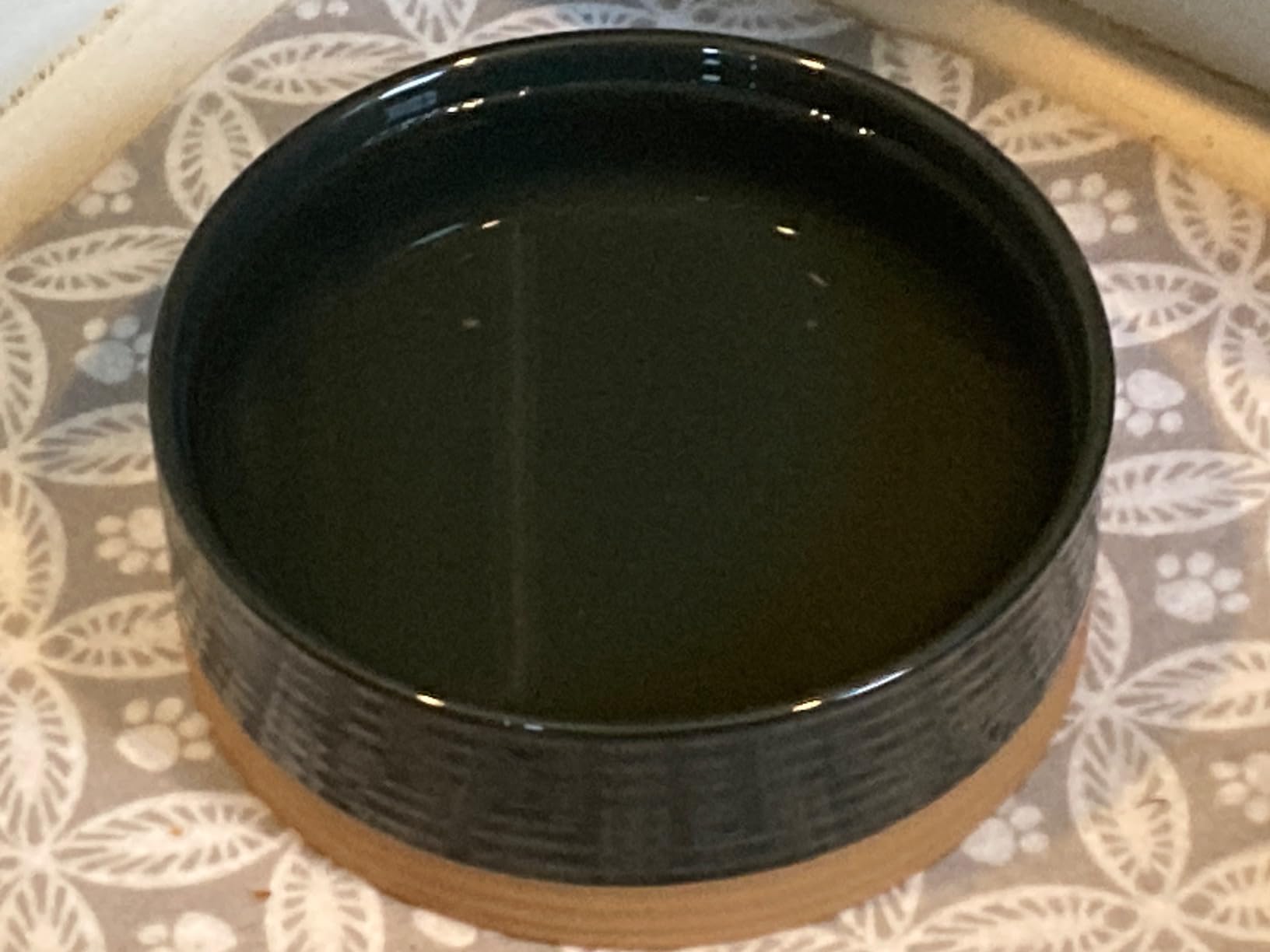 Mora Ceramic Pet Bowl Size Small - Food/Water Dish for Puppy Dogs, Cats, Guinea Pig, Rabbit, Hamster, Snake, ect. 11oz or 2 Cups - Basic Bowls for Your Dog or Cat, Mix and Match for a Set - Vanillla customer photo 1