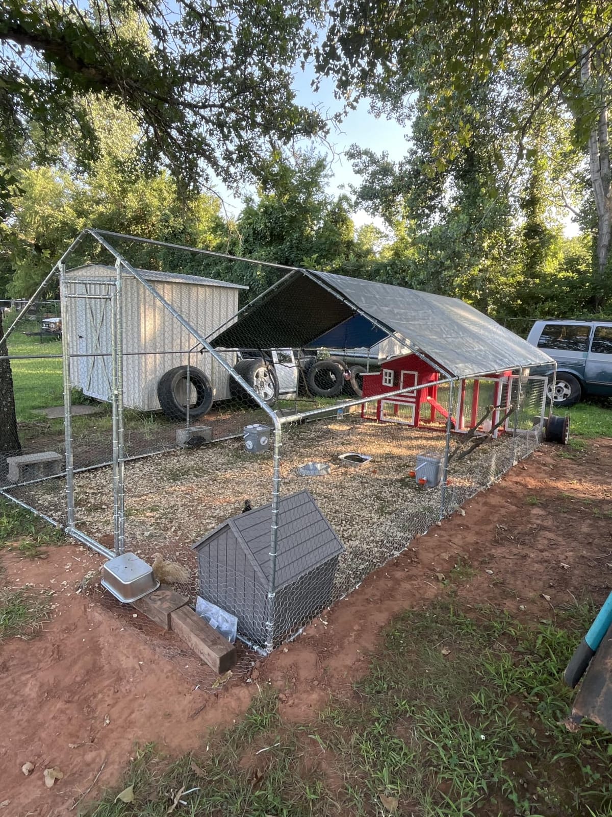 HITTITE Large Metal Chicken Coop with Run, 9.84 x 6.4 x 6.56 ft Walk in Poultry Cage Chicken Run Pen, Outdoor Chicken Runs for Yard with Waterproof & Anti-UV Cover customer photo 2