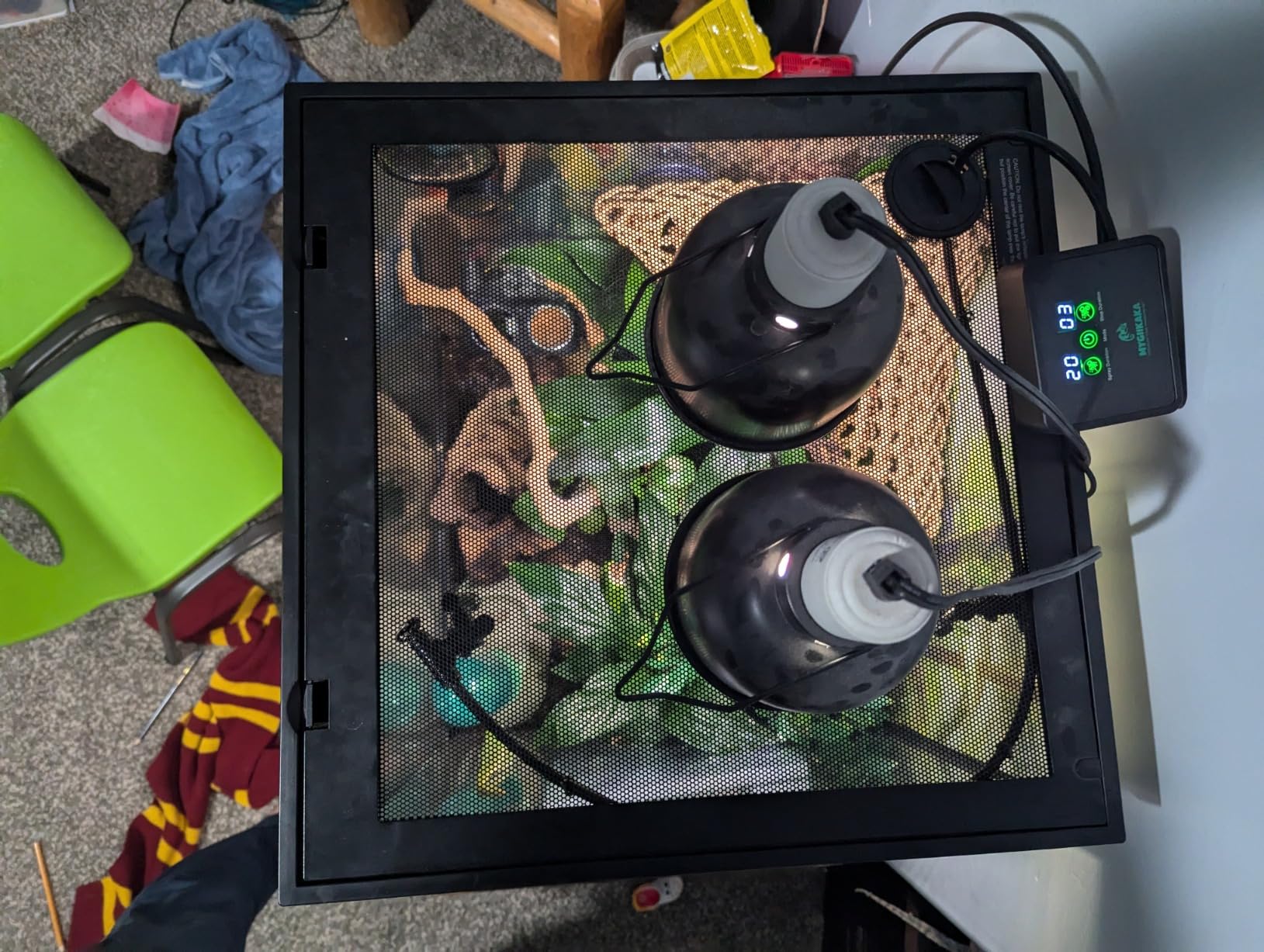 Reptile Smart Mister, Reptile Humidifiers Misting System Automatic with Timer, Terrariums Humidifier with 360°Adjustable Misting Nozzles, Spray Kit for Rainforest Plants Amphibian customer photo 1
