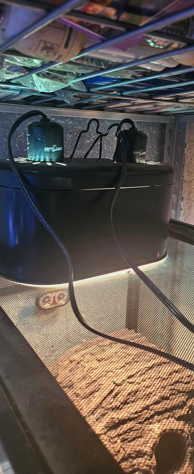 REPTI ZOO Reptile Heat Lamp Combo Pack with Dual Reptile Light Fixture, 100W Intense Basking Spot Light UVA Daylight Heating Lamp & 26W Energy Saving UVA UVB Bulb Spiral Compact Bulb 10.0 customer photo 1
