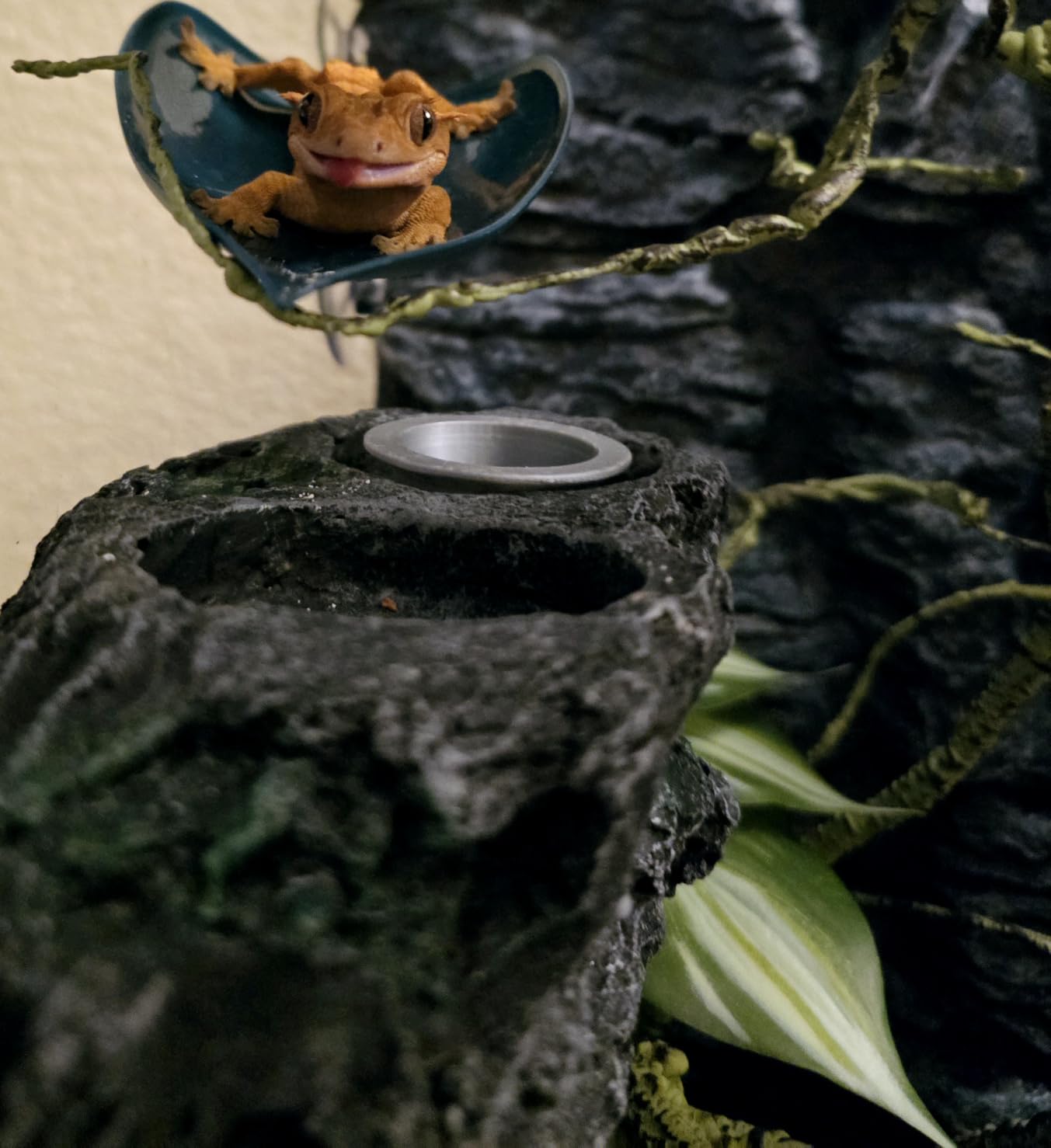 17.7x11.8in Rock Terrarium Background, 3D Reptile Tank Background Board, Amphibian Stereo Backdrop Wall, Lizard Snake Gecko Spider Turtle Fish Background Decorative Panel (Grey) customer photo 1
