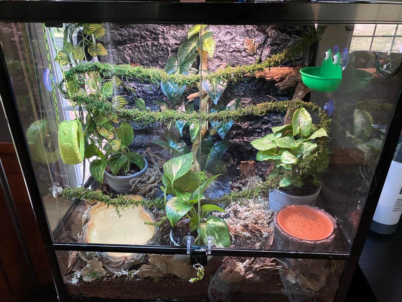 17.7x11.8in Rock Terrarium Background, 3D Reptile Tank Background Board, Amphibian Stereo Backdrop Wall, Lizard Snake Gecko Spider Turtle Fish Background Decorative Panel (Grey) customer photo 2