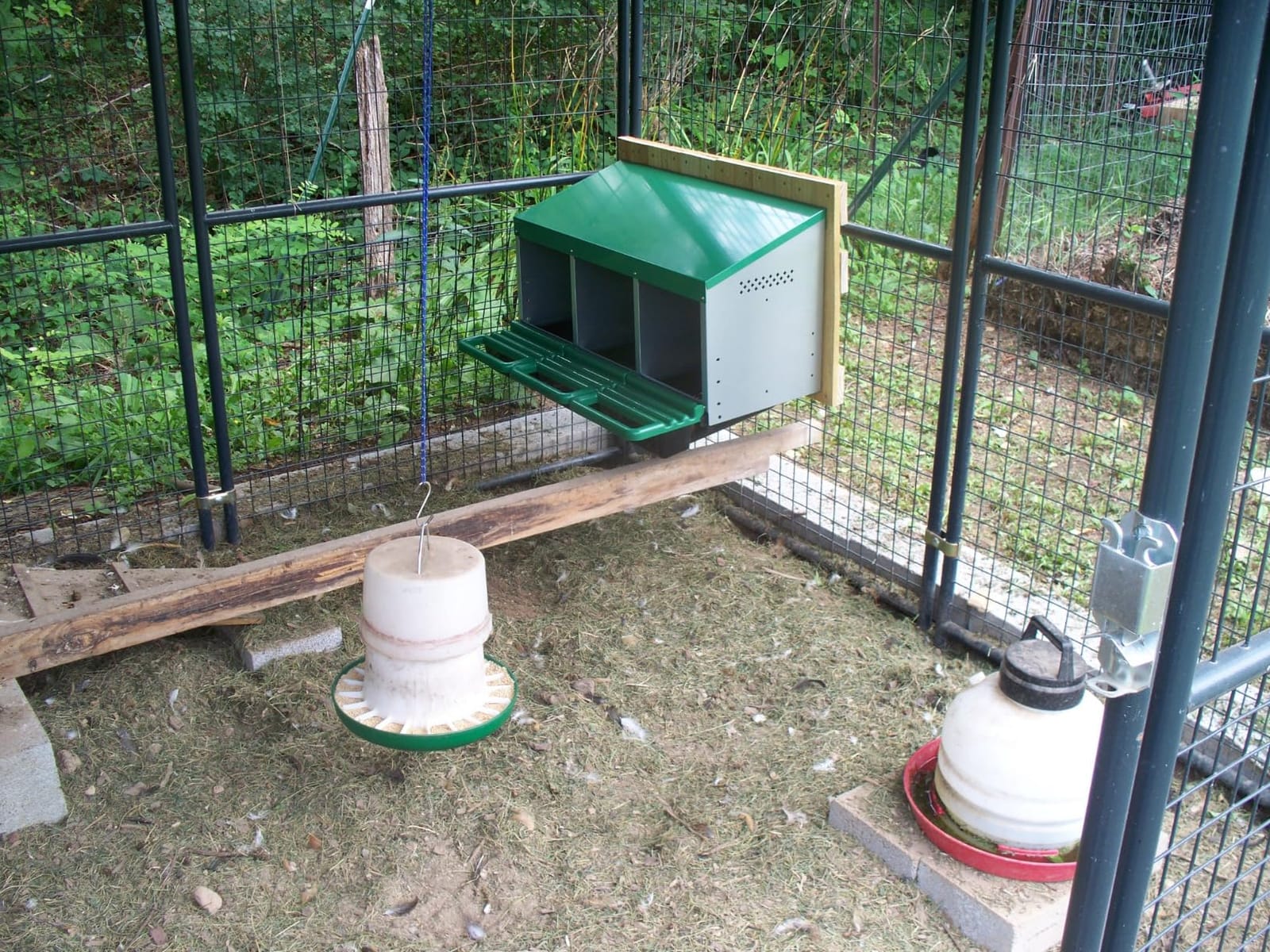 Eggluuz Chicken Nesting Box, 3 Compartments Chickens Egg Laying Nest Boxes for Hens Green customer photo 2