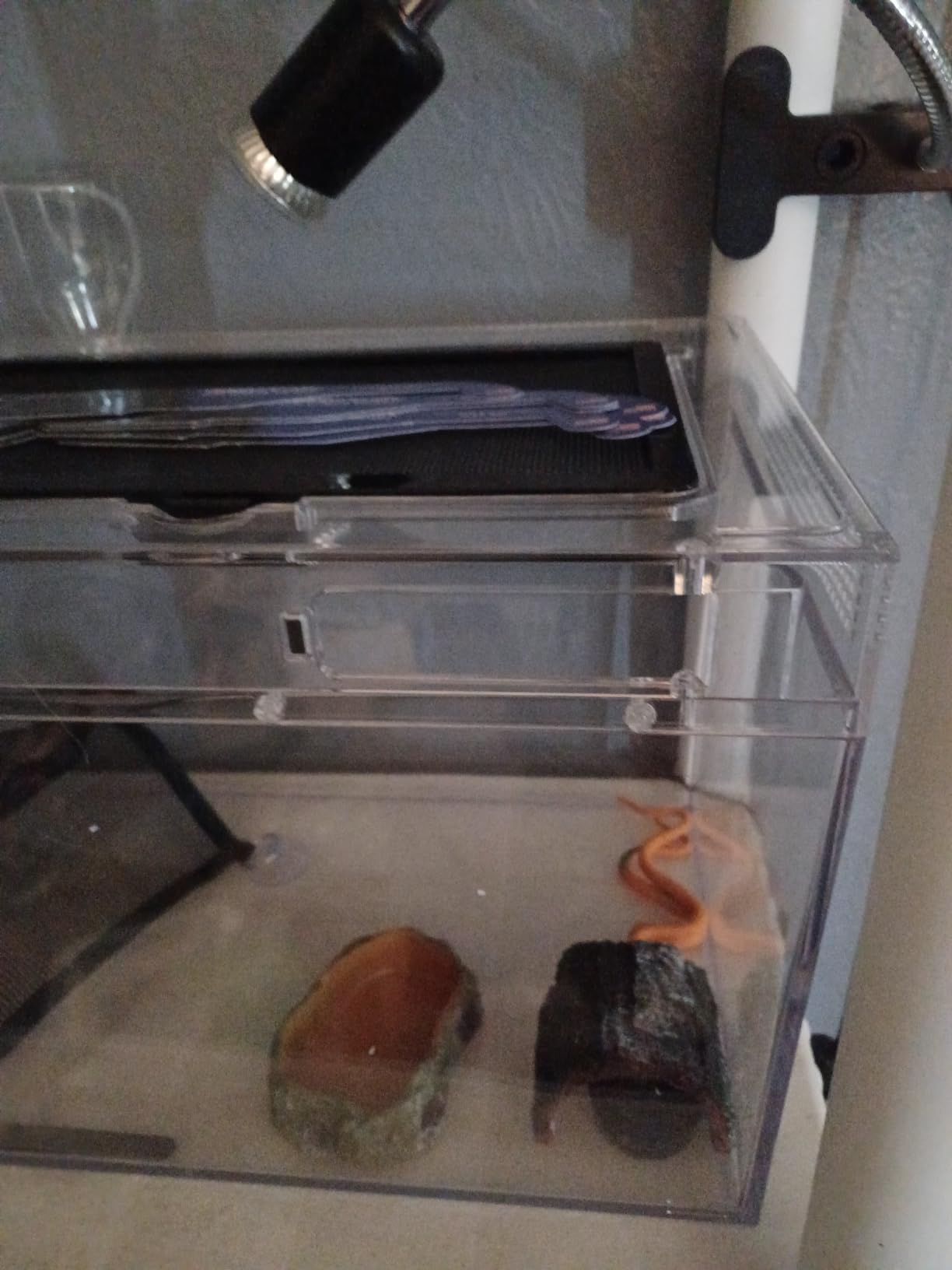 AZV Reptile Tank Starter Kit, 8 Piece Escape Proof Hermit Crab Cage Small customer photo 1