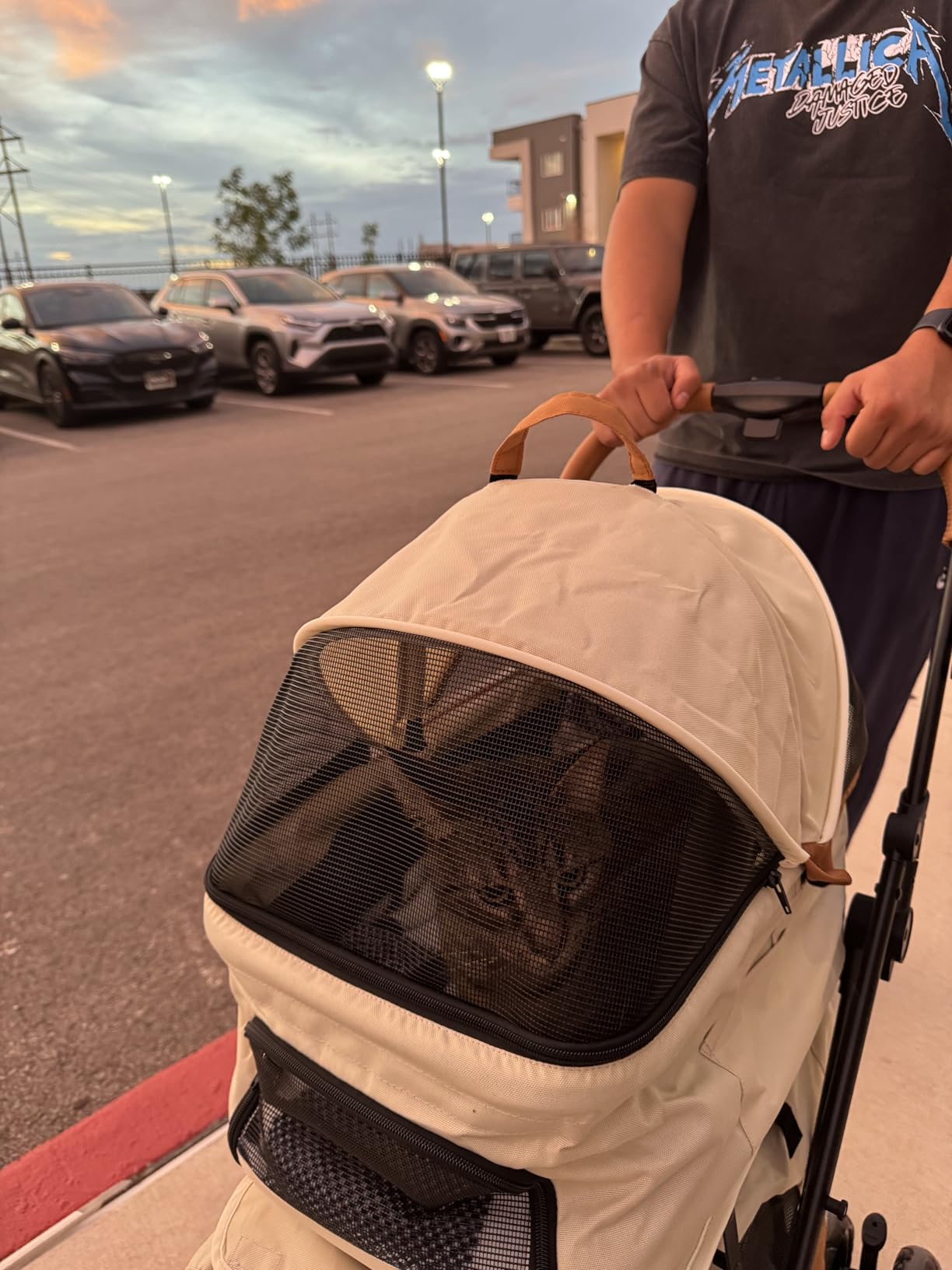 Double Pet Stroller with Detachable Carriers - Ideal for 2 Dogs or Cats - Compact & Convenient Design - Easy Assembly Double Dog Stroller - Graphite Gray customer photo 1