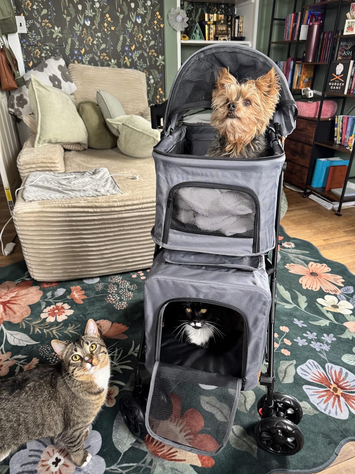 Double Pet Stroller with Detachable Carriers - Ideal for 2 Dogs or Cats - Compact & Convenient Design - Easy Assembly Double Dog Stroller - Graphite Gray customer photo 2