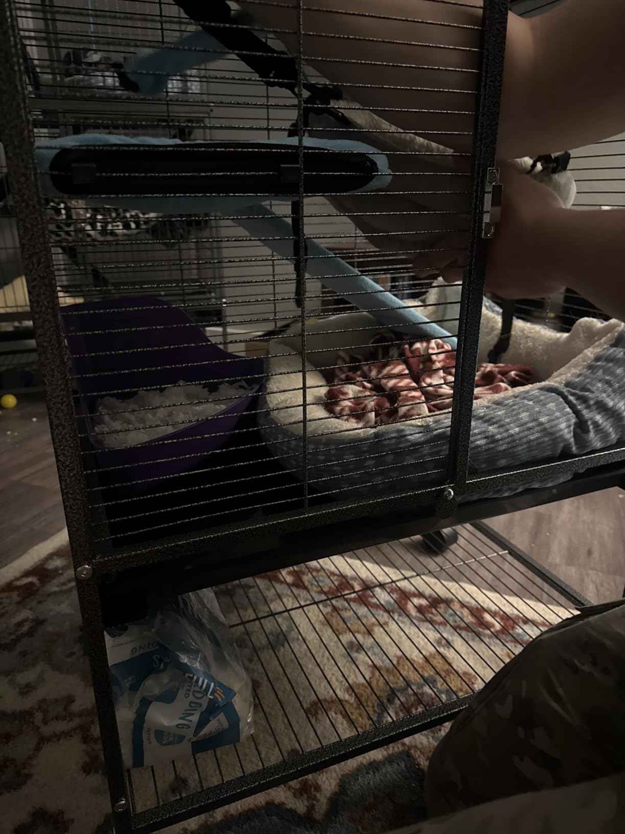 Large Two Full Story Deluxe Double Unit 4-Tiers Tight 1/2-Inch Bar Spacing Durable Front Doors Water Bottle Food Bowl for Feisty Ferret Squirrel Hammock Rat Gerbil Small Animal Critter Rolling Cage customer photo 1