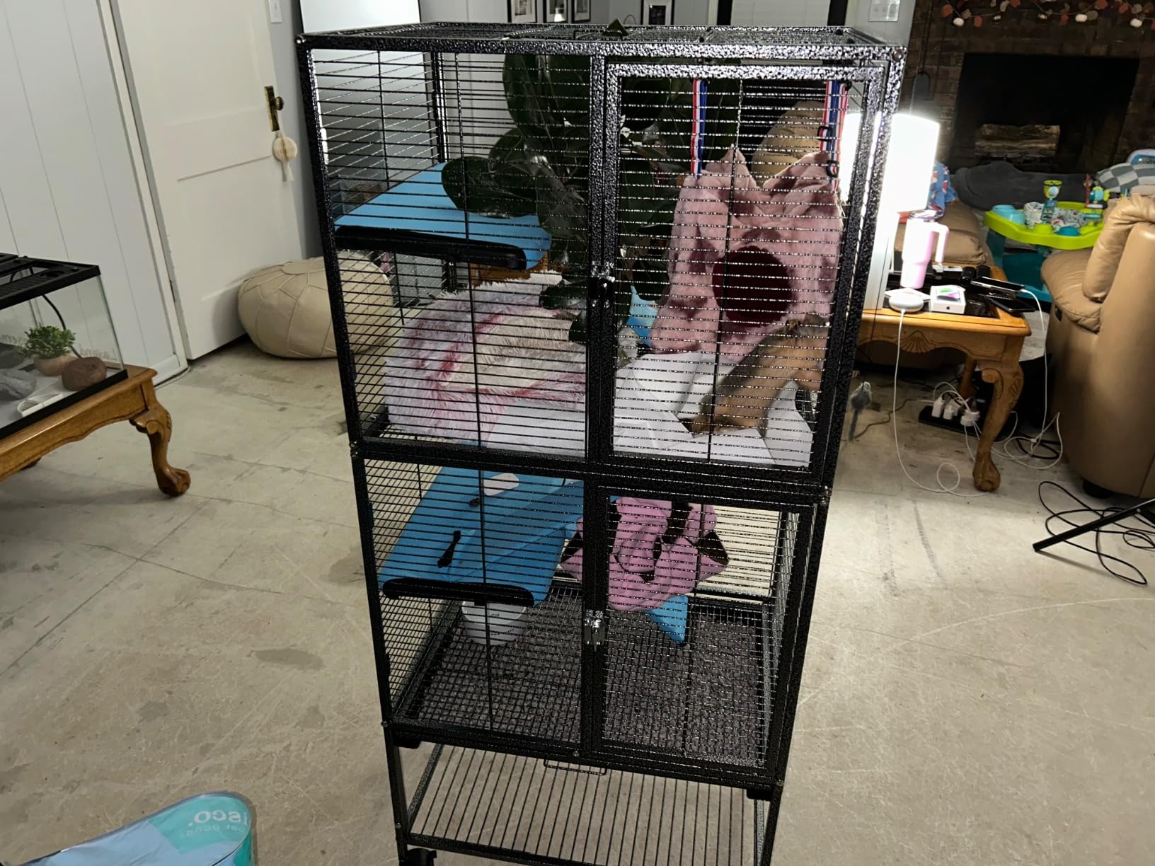 Large Two Full Story Deluxe Double Unit 4-Tiers Tight 1/2-Inch Bar Spacing Durable Front Doors Water Bottle Food Bowl for Feisty Ferret Squirrel Hammock Rat Gerbil Small Animal Critter Rolling Cage customer photo 2