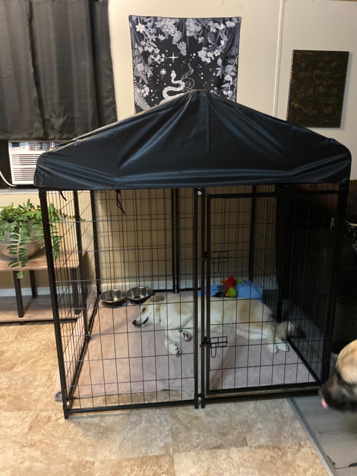 Dog Kennel Outside with Roof, 8'x6'x4' Outdoor Dog Kennel | Heavy-duty Welded Steel, UV-resistant Waterproof Roof, Dual Locks, Dog Crate Playpen with Ground Stake for Large Dogs customer photo 2