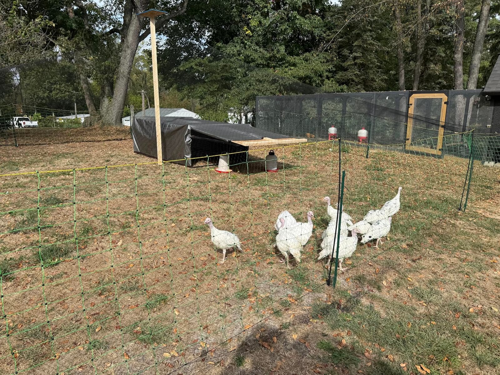 Electric Fence Netting,Livestock Neting,49.6