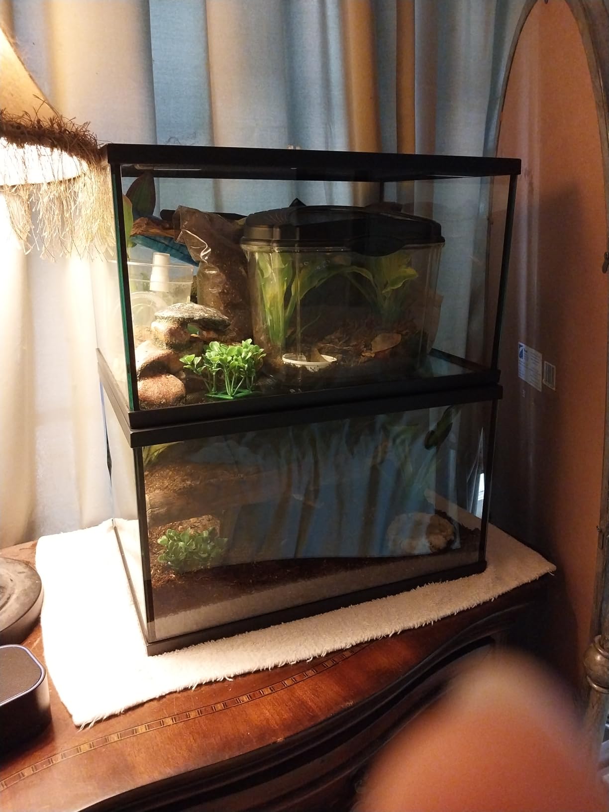 Reptile Glass Tank 16
