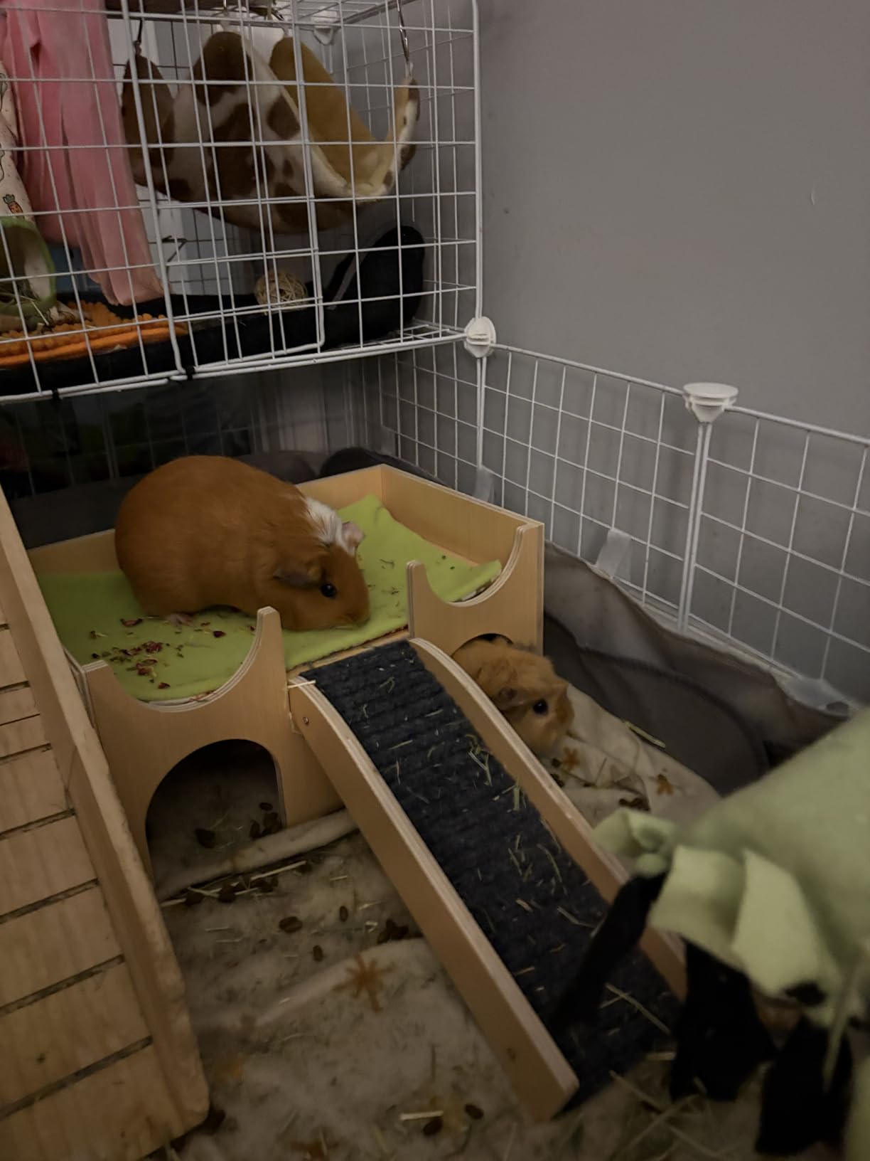 MEWTOGO Upgraded Sturdy Wooden Guinea Pig Castle with Stairs & Mat customer photo 2
