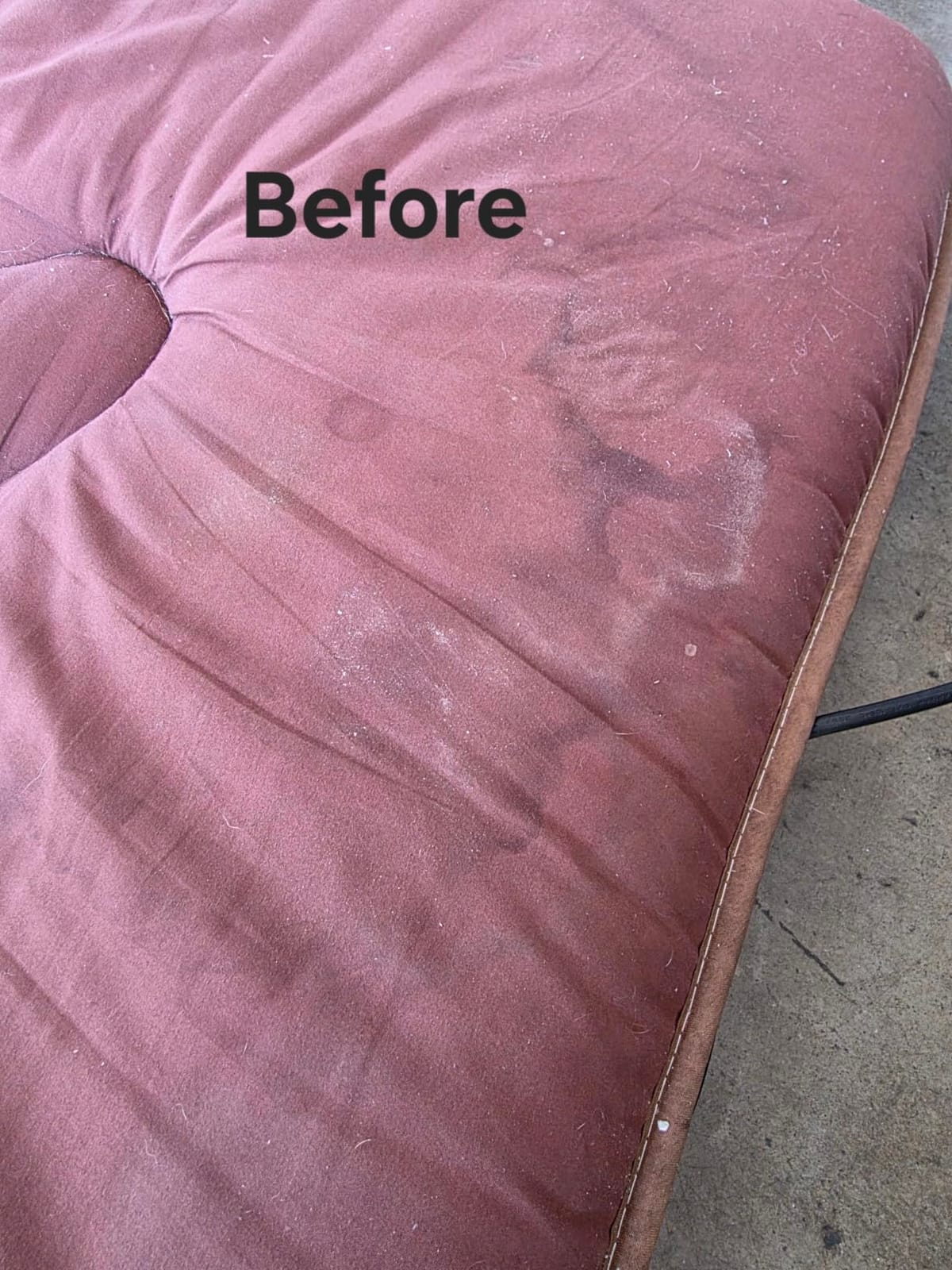 BISSELL Little Green Max Pet Portable Carpet Cleaner, 3860 customer photo 1