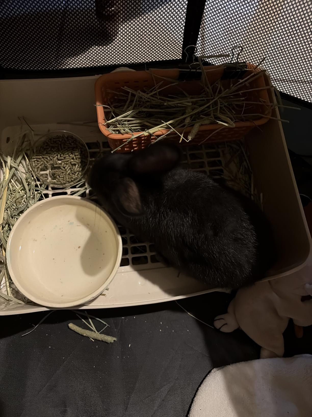 Large Rabbit Litter Box Bunny Potty Training Corner Litter Pan with Drawer Comes with Liners Rabbit Pee Pads, Small Animal Bedding Toilet for Adult Guinea Pig, Ferret, Hamster, Bunnies customer photo 1