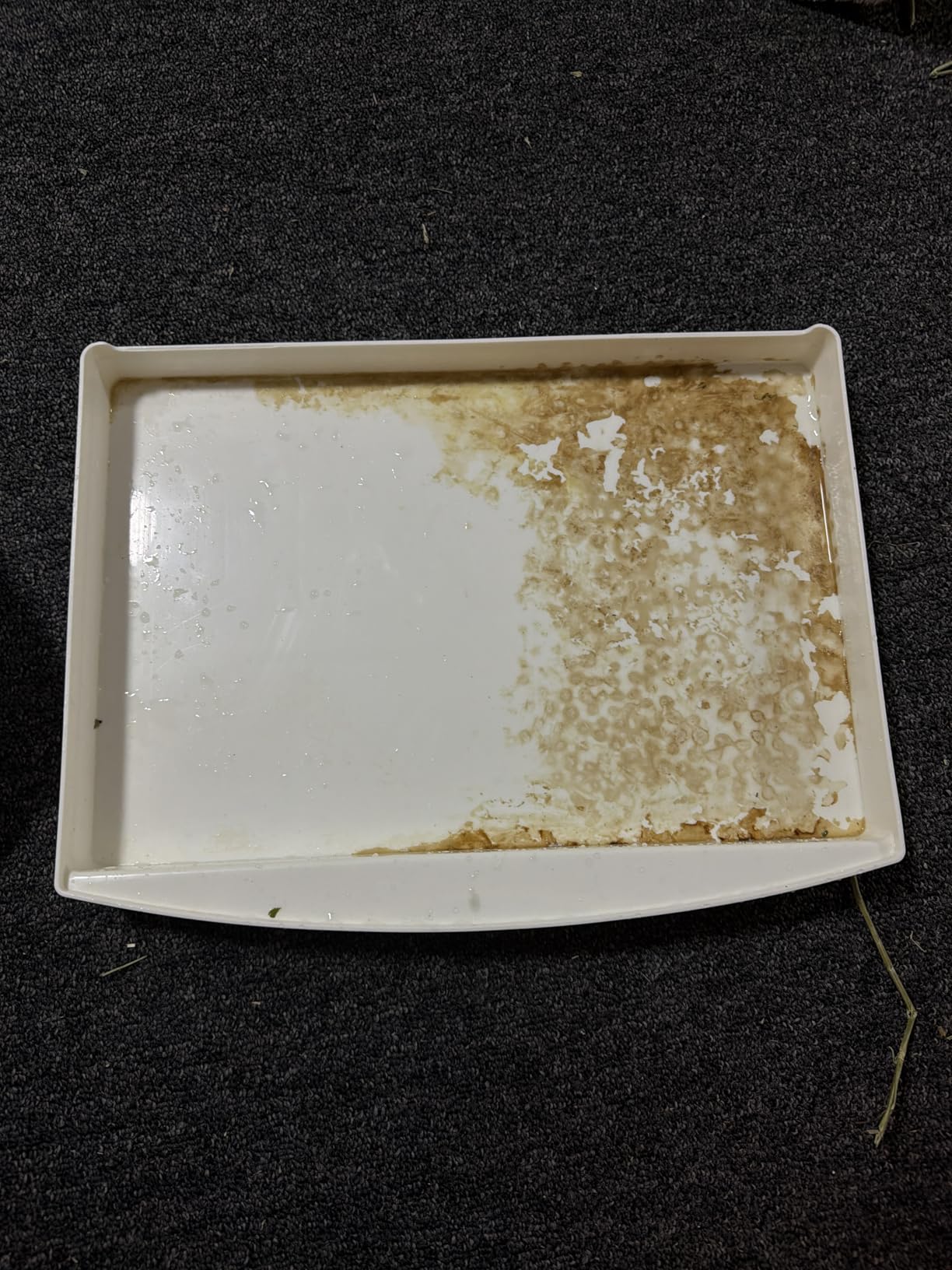 Large Rabbit Litter Box Bunny Potty Training Corner Litter Pan with Drawer Comes with Liners Rabbit Pee Pads, Small Animal Bedding Toilet for Adult Guinea Pig, Ferret, Hamster, Bunnies customer photo 2