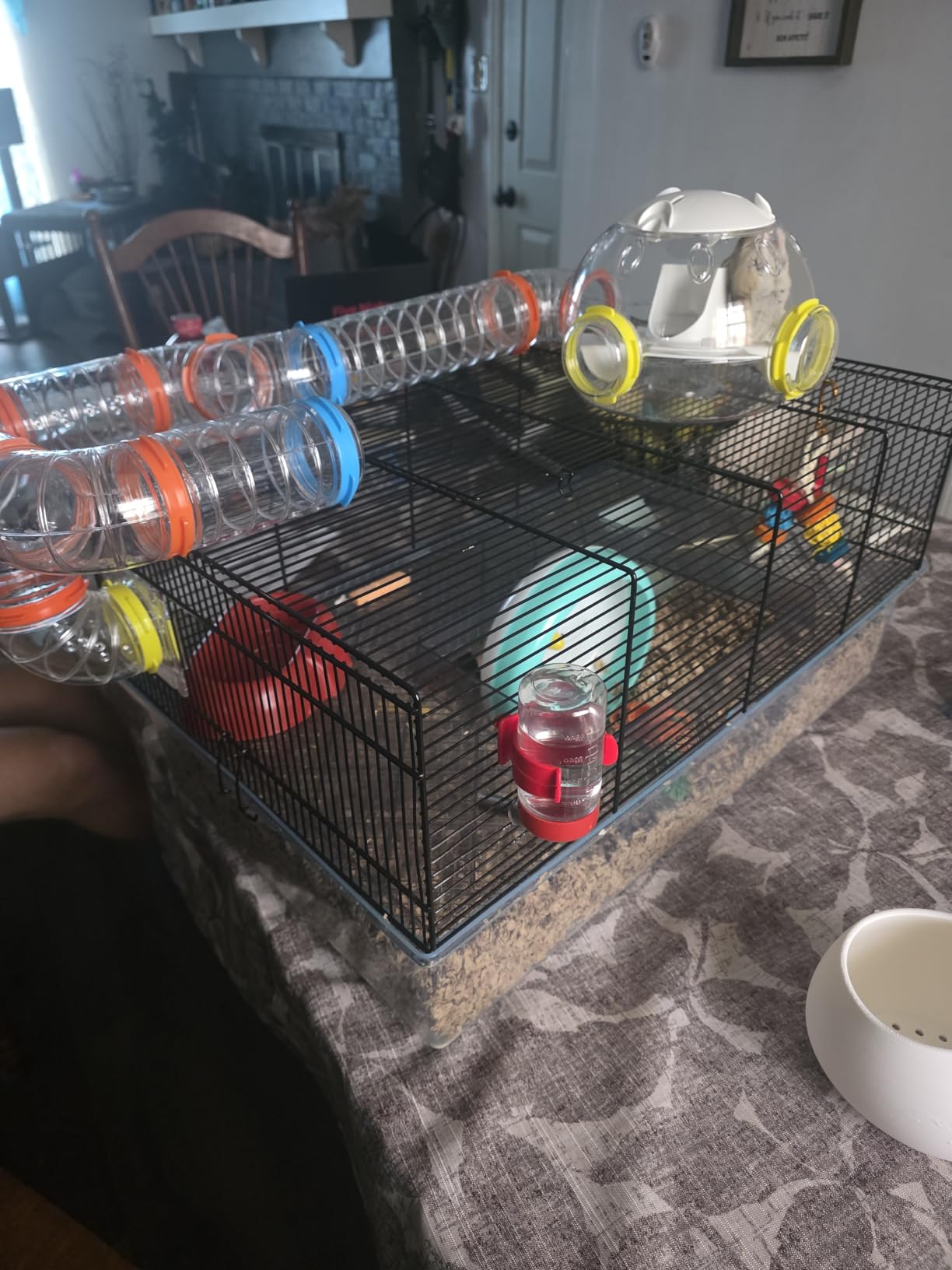 MidWest Homes for Pets Curvy Hamster Tube Value Pack customer photo 2