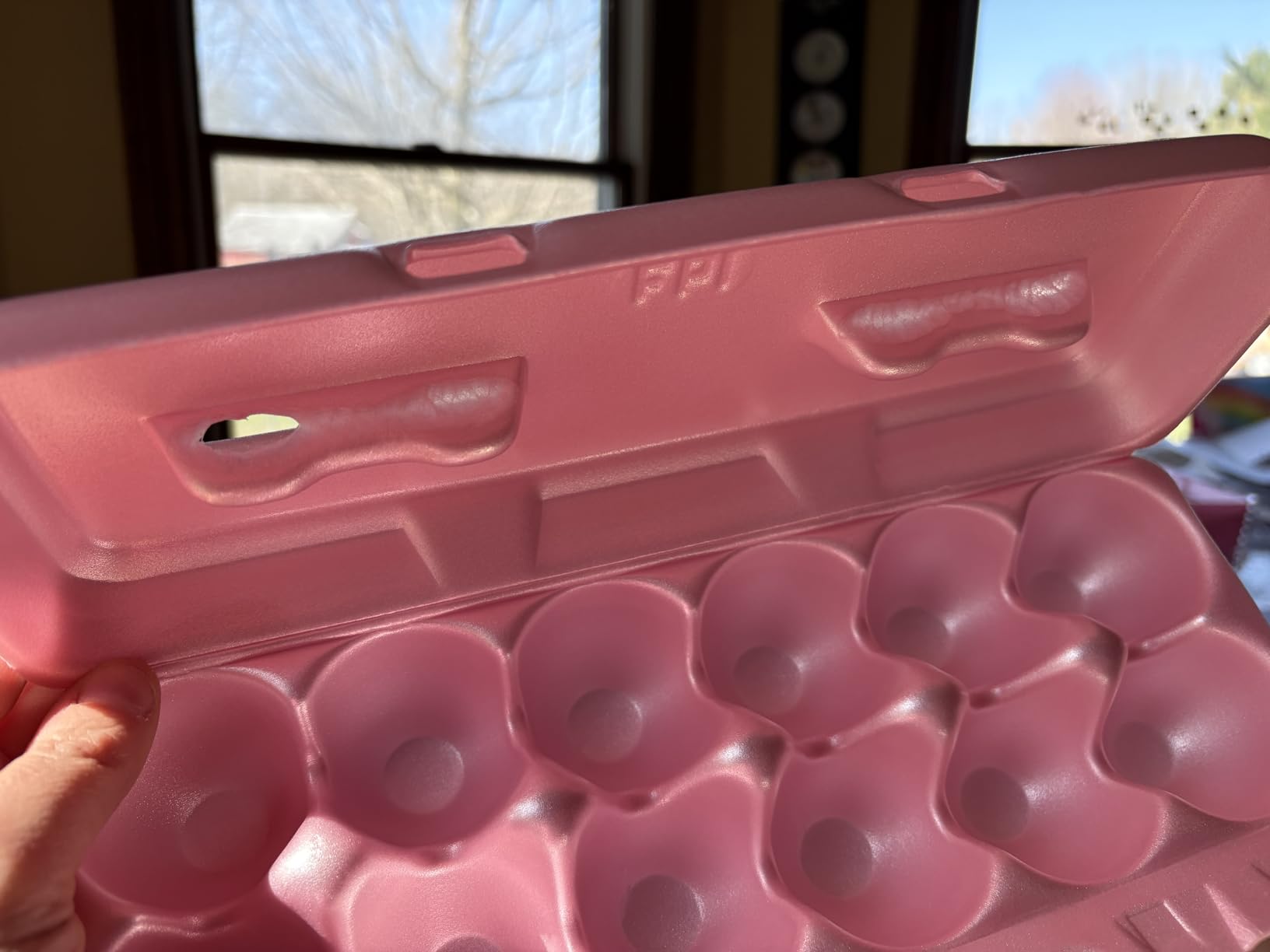 Foam Egg Cartons for Chicken Eggs Holds 1 Dozen Eggs (Assorted, 50pk) customer photo 1