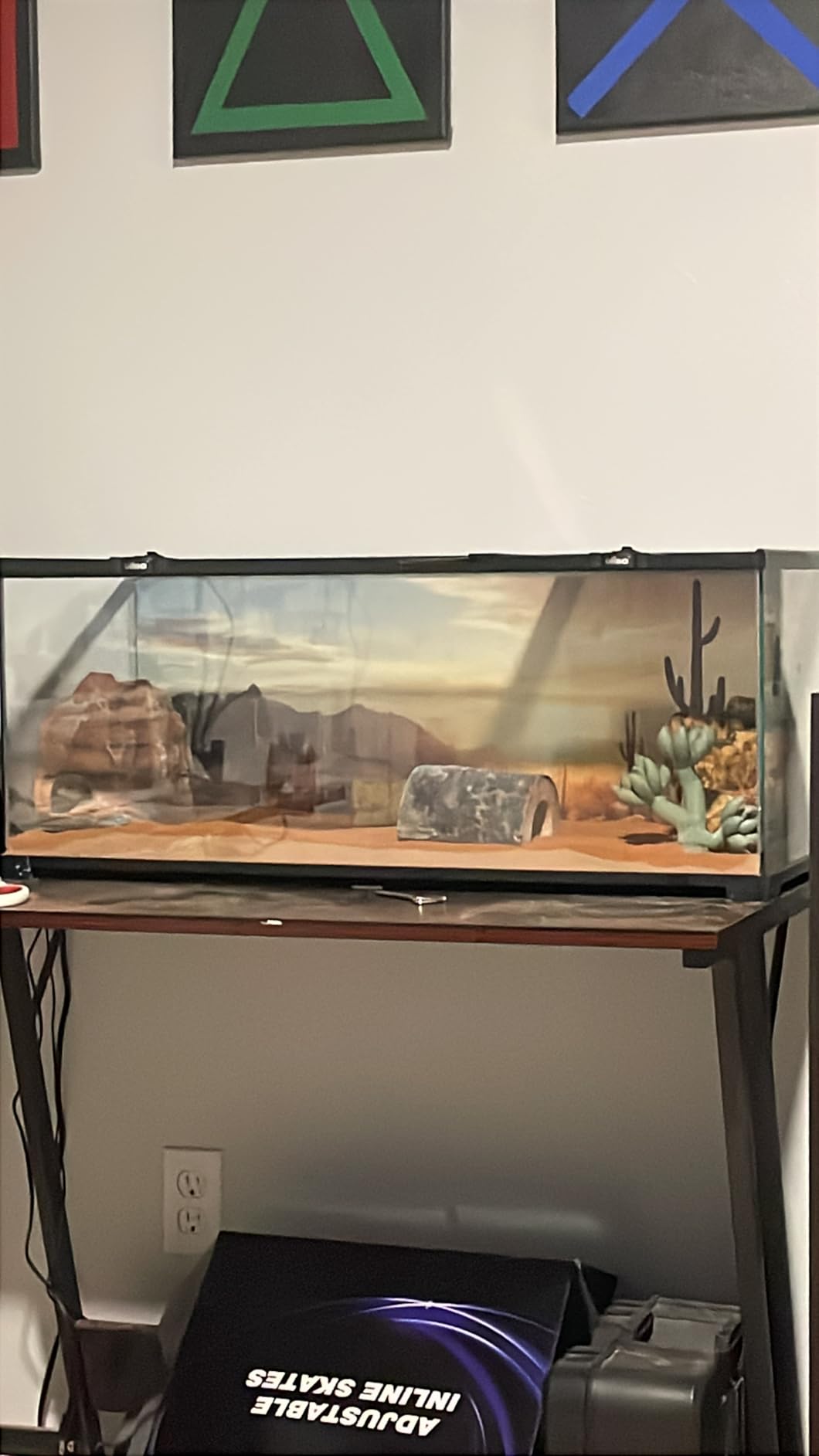 20 Gallon Reptile Tank, 30