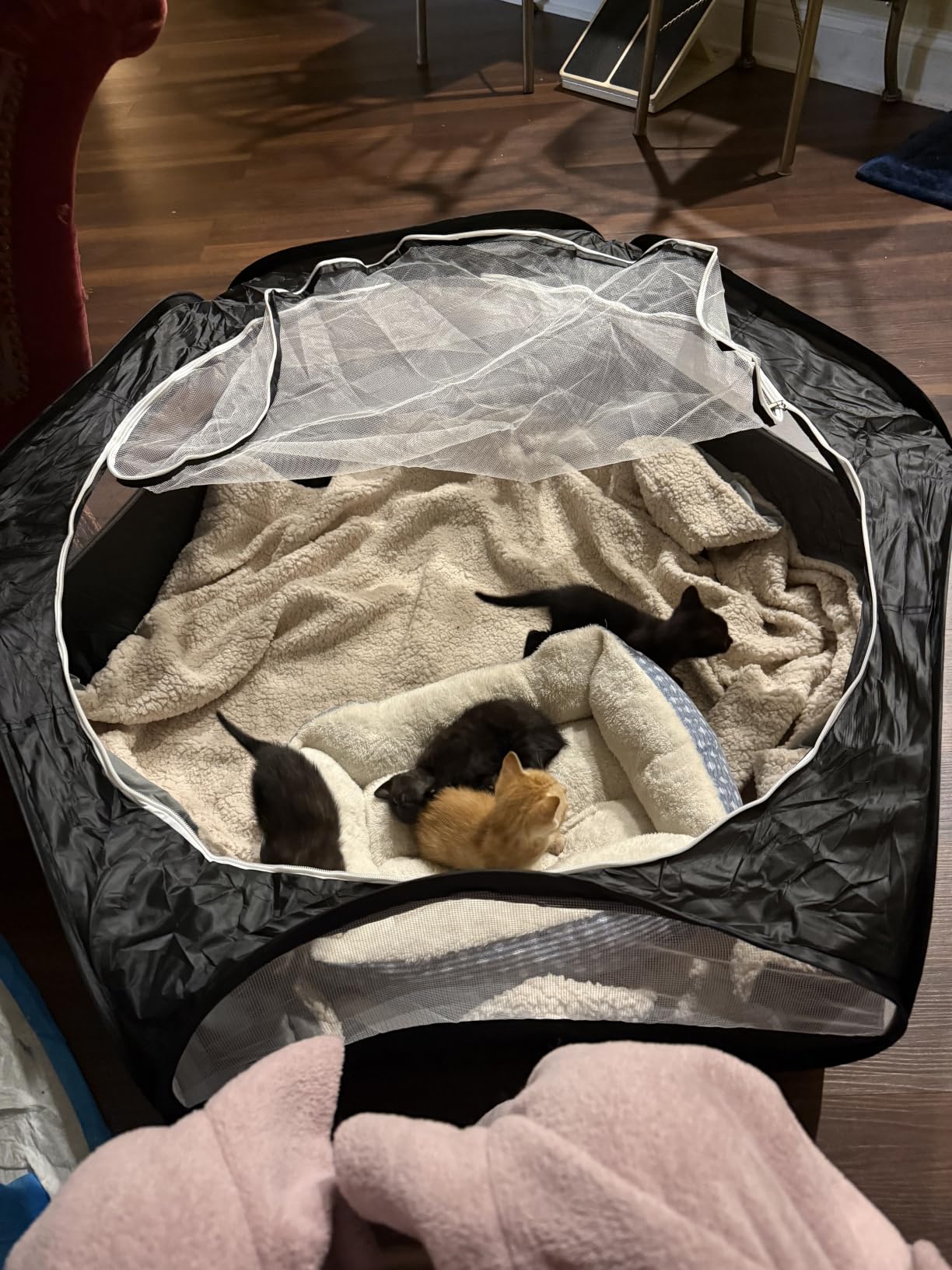 UWE Small Animal Playpen, Waterproof Foldable Pet Playpen, Black | Anti-Escape Exercise Pet Tent, Bite Resistant Breathable Mesh, Leakproof Base, Easy Fold Storage, Indoor Outdoor For Pets customer photo 1