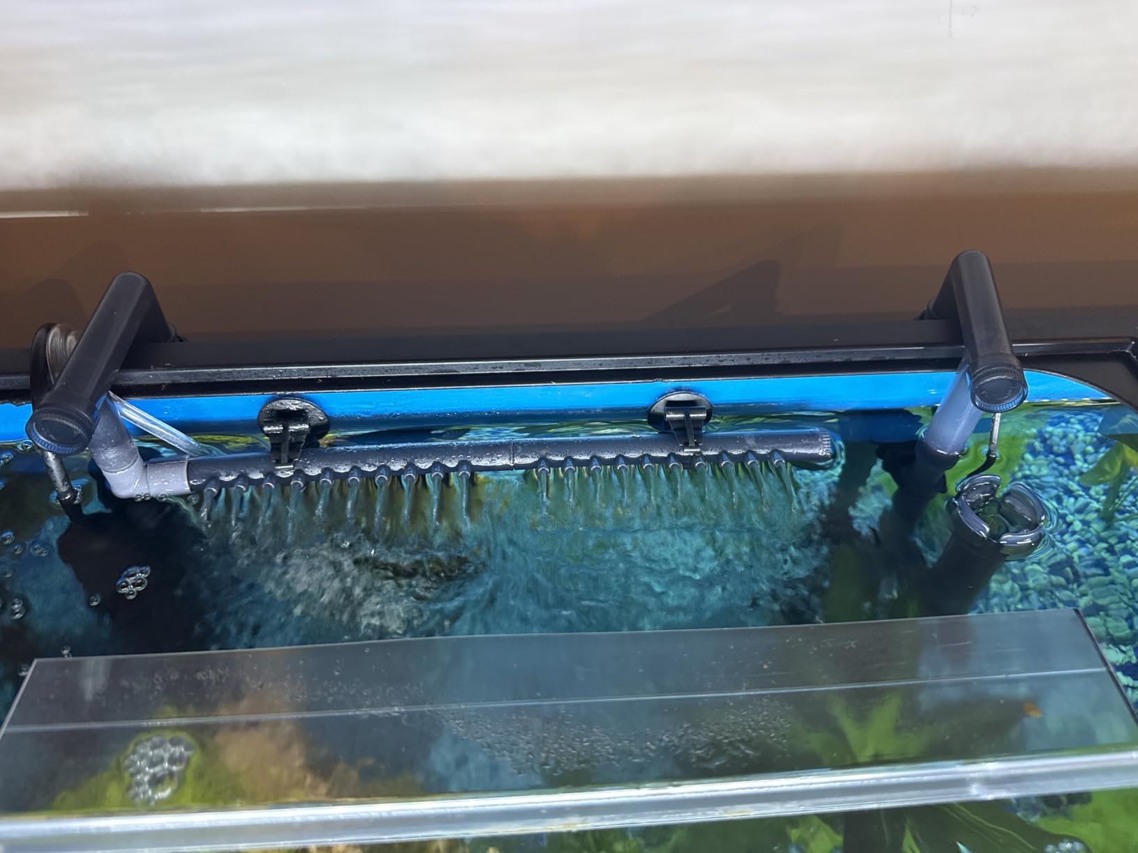 VEVOR Aquarium Filter 317GPH, 4-Stage Canister Filter 75-100 Gallon, Ultra-Quiet Internal Aquarium Filter with UV Protection, Submersible Power Filter with Multiple Function for Fish Tanks, 12W customer photo 1