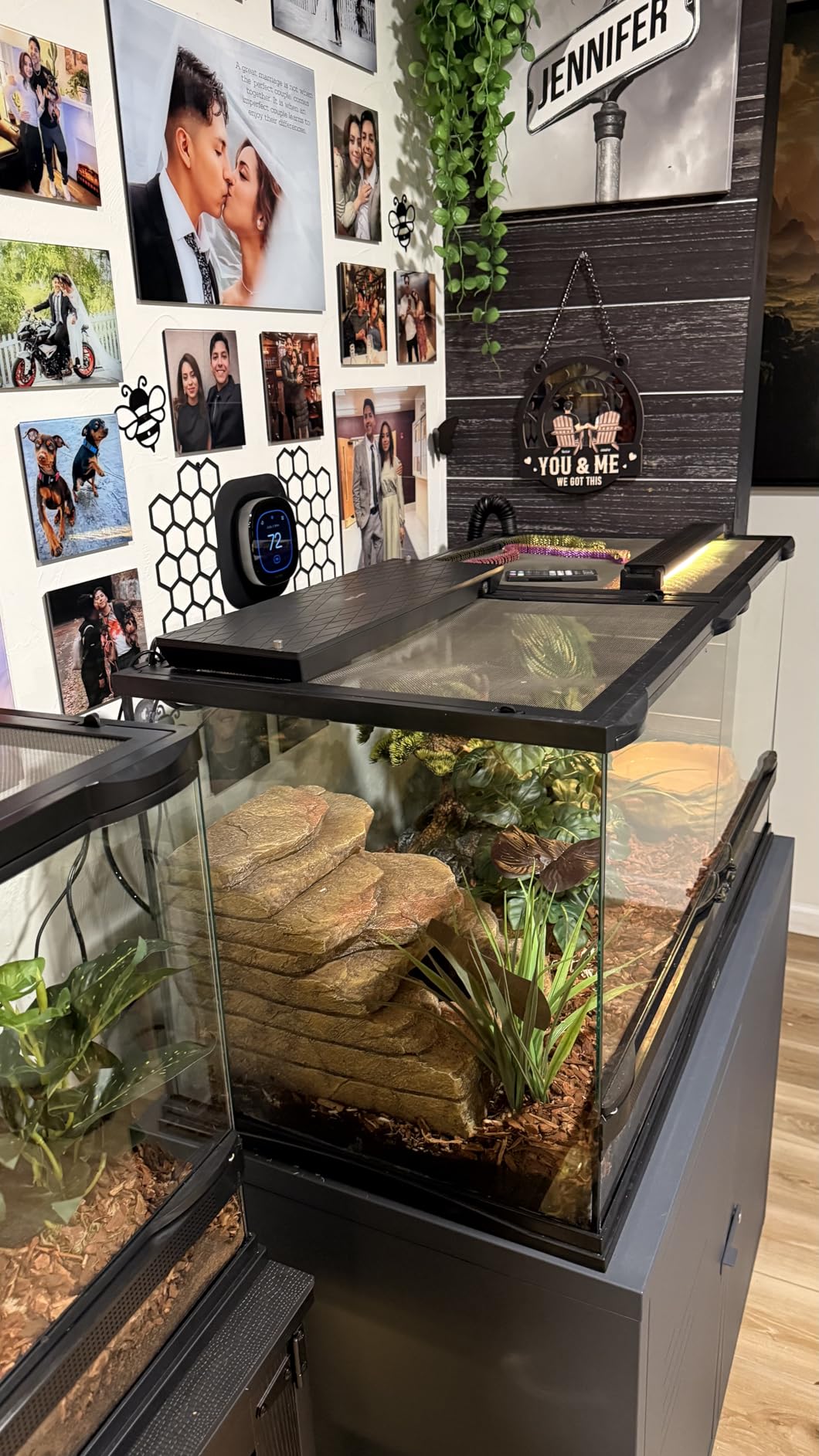 REPTI ZOO Reptile Heat Panel Adjustable Temperature Reptile Heating Plate, Non-Light Heating Solution with Expanded Heating Range for Hermit Crabs/Leopard Geckos/Turtles/Snakes/Lizards customer photo 1