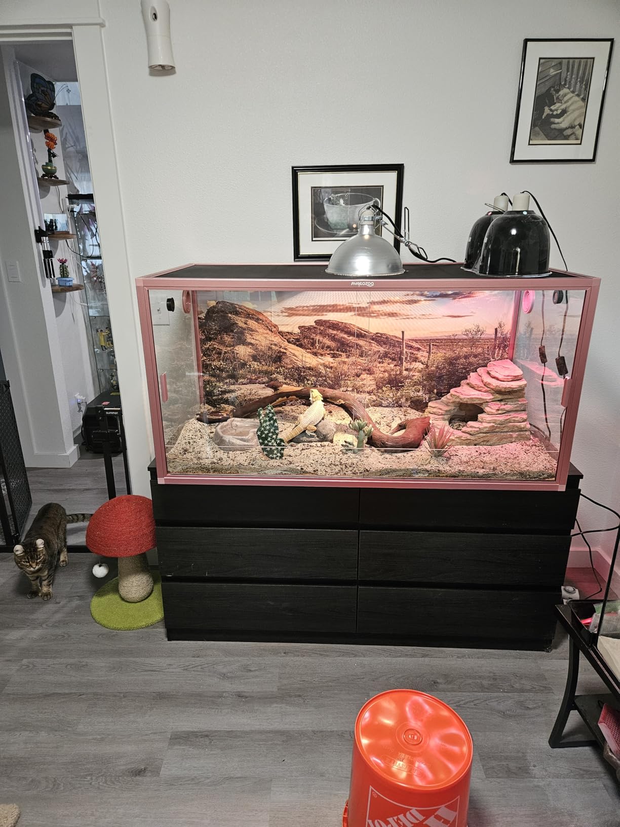 Phailozoo 120 Gallon Reptile Tank, Stackable 4x2x2 Reptile Enclosure customer photo 2
