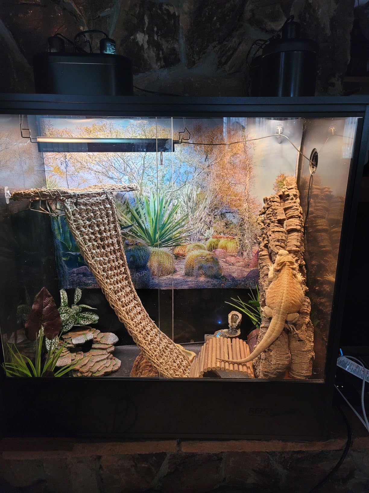 REPTI ZOO 30 Gallon PVC Tall Reptile Tank, 18x18x24 Reptile Terrarium for Frog Lizard Gecko Chameleon Snake, Tropical Rainforest Habitat Enclosure with Sliding Door & Top Screen Ventilation customer photo 1