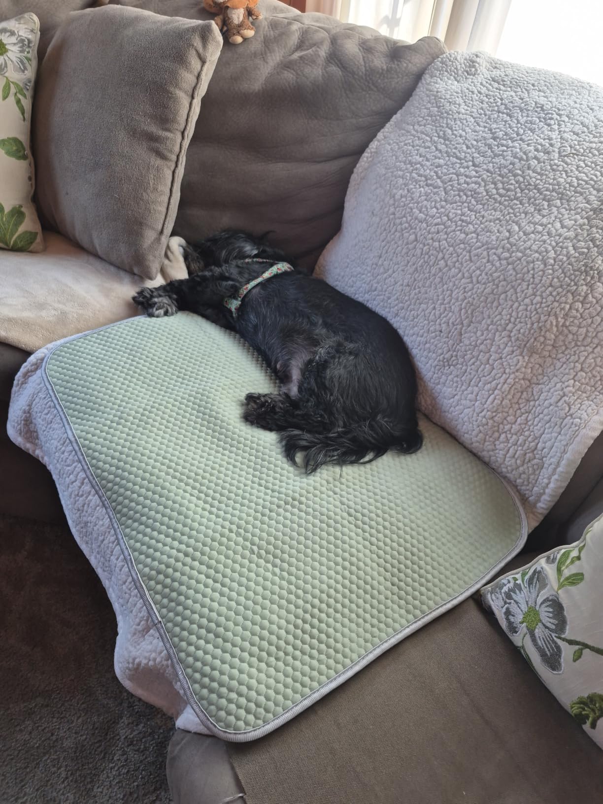 Buvlnee Summer Dog Cooling Mat, Washable Ice Silk Self Cool Pad for Small Medium Large Dogs and Cats, 24x18in Pet Sleeping Pad for Crate, Bed, Indoor & Outdoor Floor, Car Seats customer photo 2