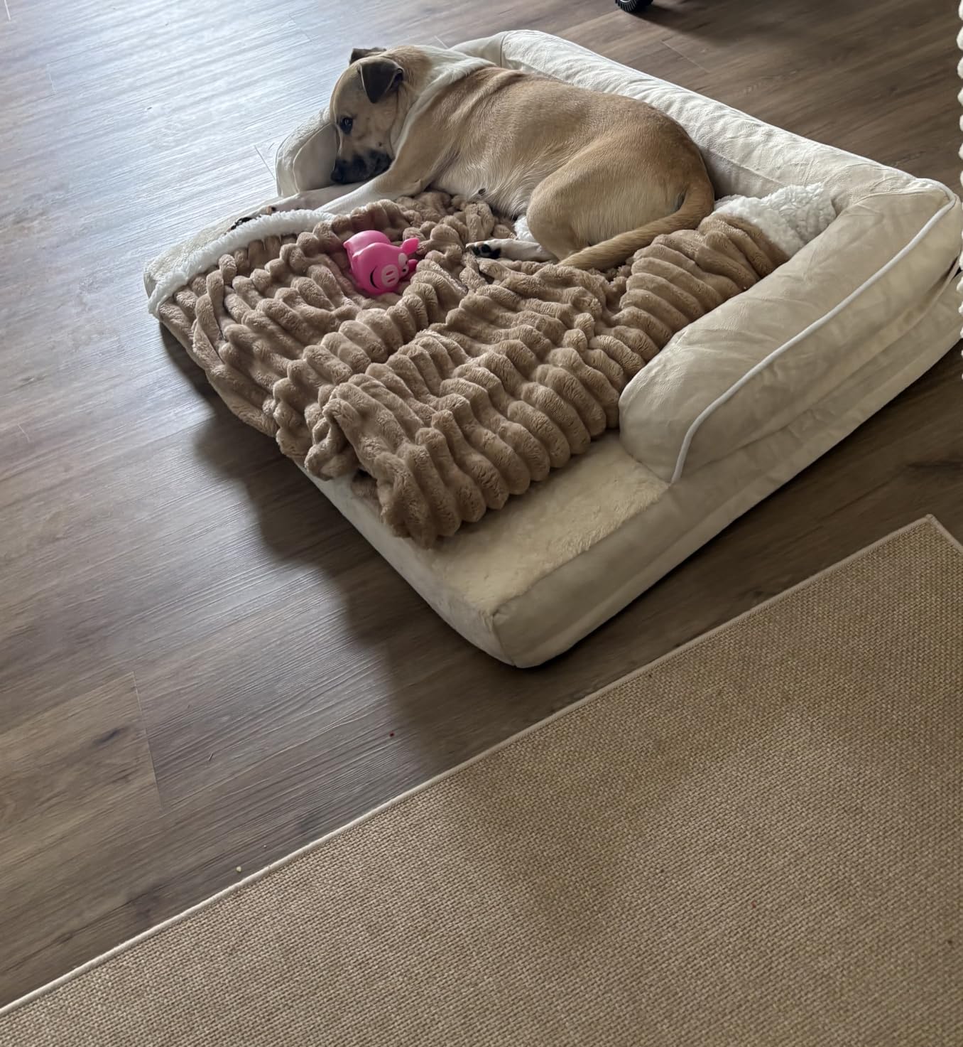 MEKIY Orthopedic XL Dog Bed with Bolster for Extra Large Size Dogs customer photo 1