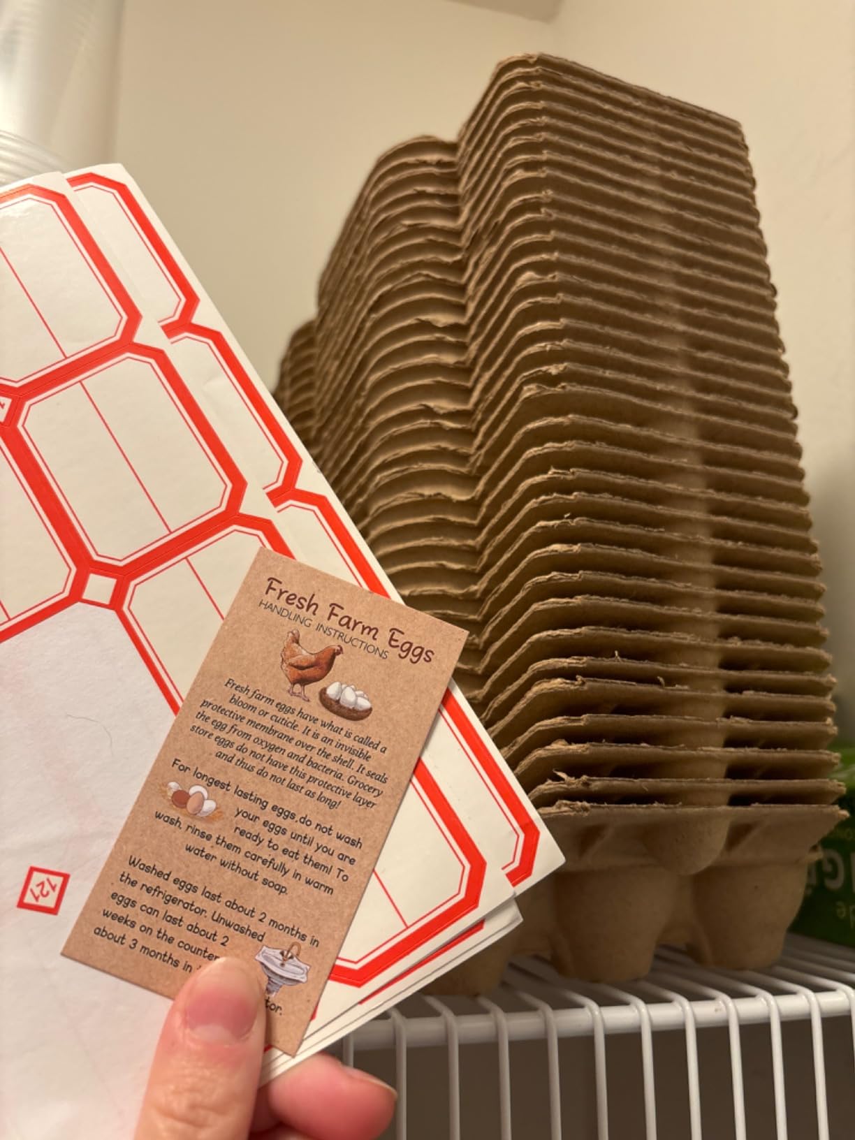 DecarDamai 40 Pack Half Dozen Egg Cartons Bulk 6 Count, Empty Natural Paper Pulp Egg Cartons Reusable, Strong Sturdy Design Made from Natural Cardboard customer photo 2