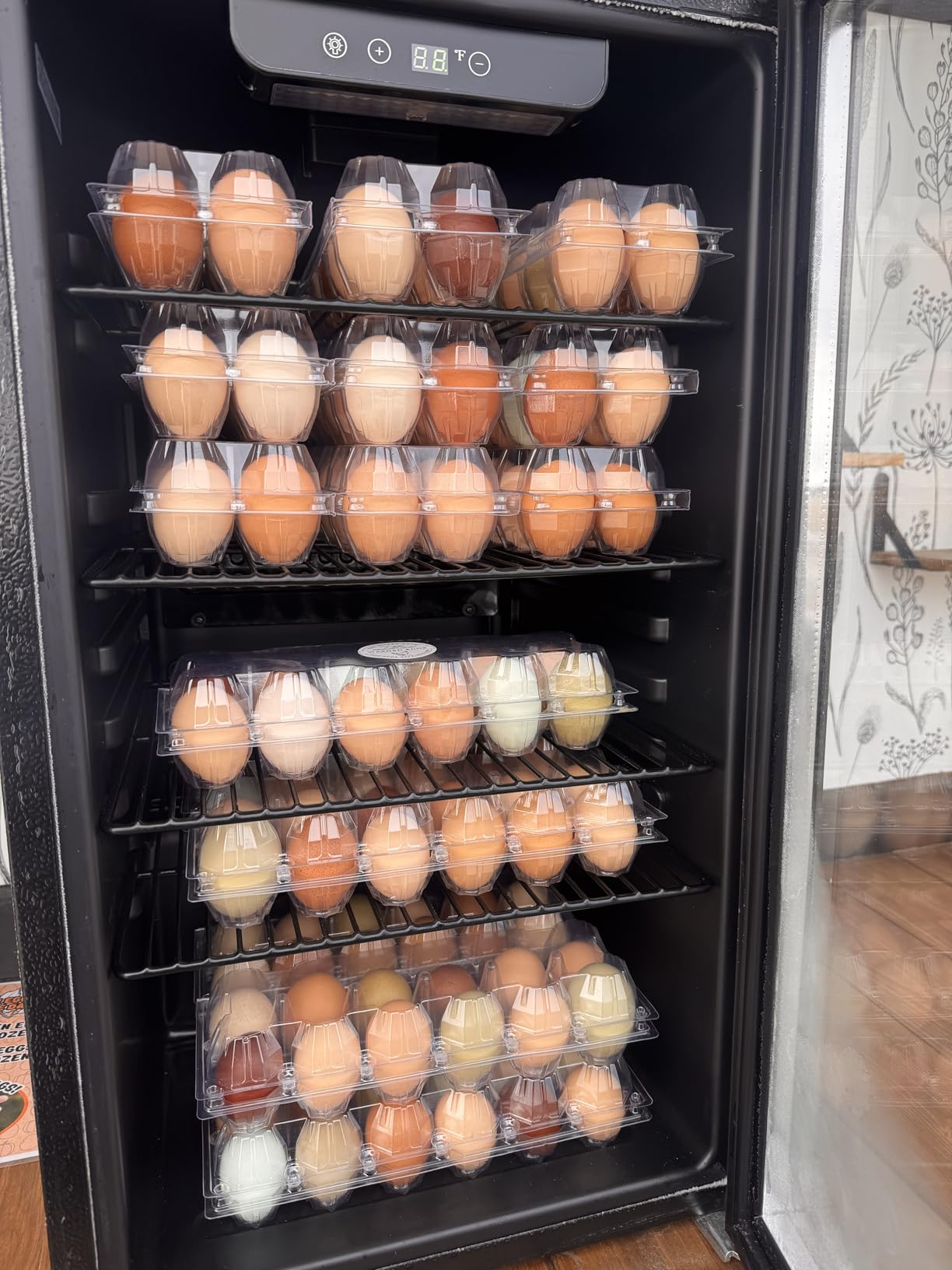 SINLUCESCE 60 Packs Egg Cartons Cheap Bulk, Plastic for 12 Eggs, Clear Egg Cartons 2 x 6 Grids, Perfect for Refrigerator Family Farm Commercial Business Market Display customer photo 1