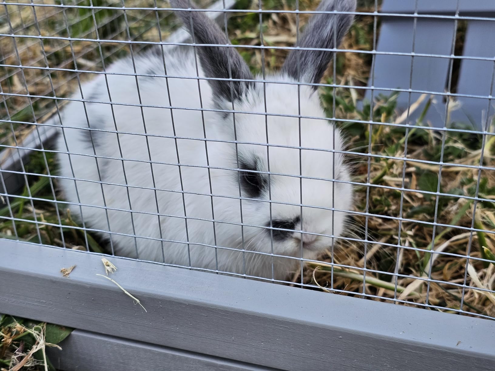 COZIWOW Rabbit Hutch Outdoor, 94.5