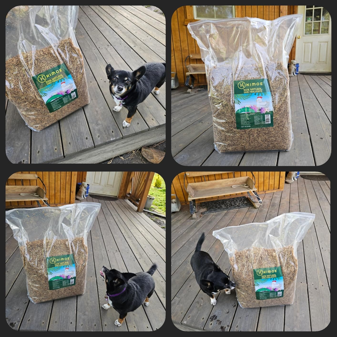 kimoe Non-GMO Bulk Dried Mealworms 10LB Bag for Chickens, Ducks & Wild Birds - 100% Natural High-Protein Feed to Boost Egg Production, Feather Health & Immunity customer photo 1