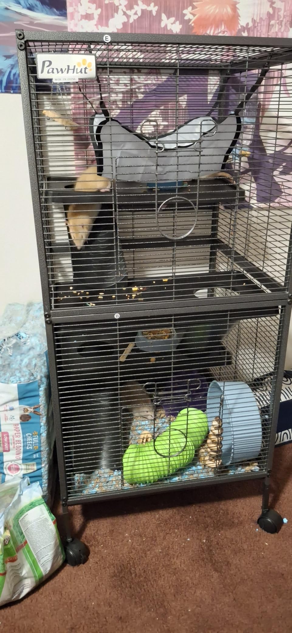 PawHut 63
